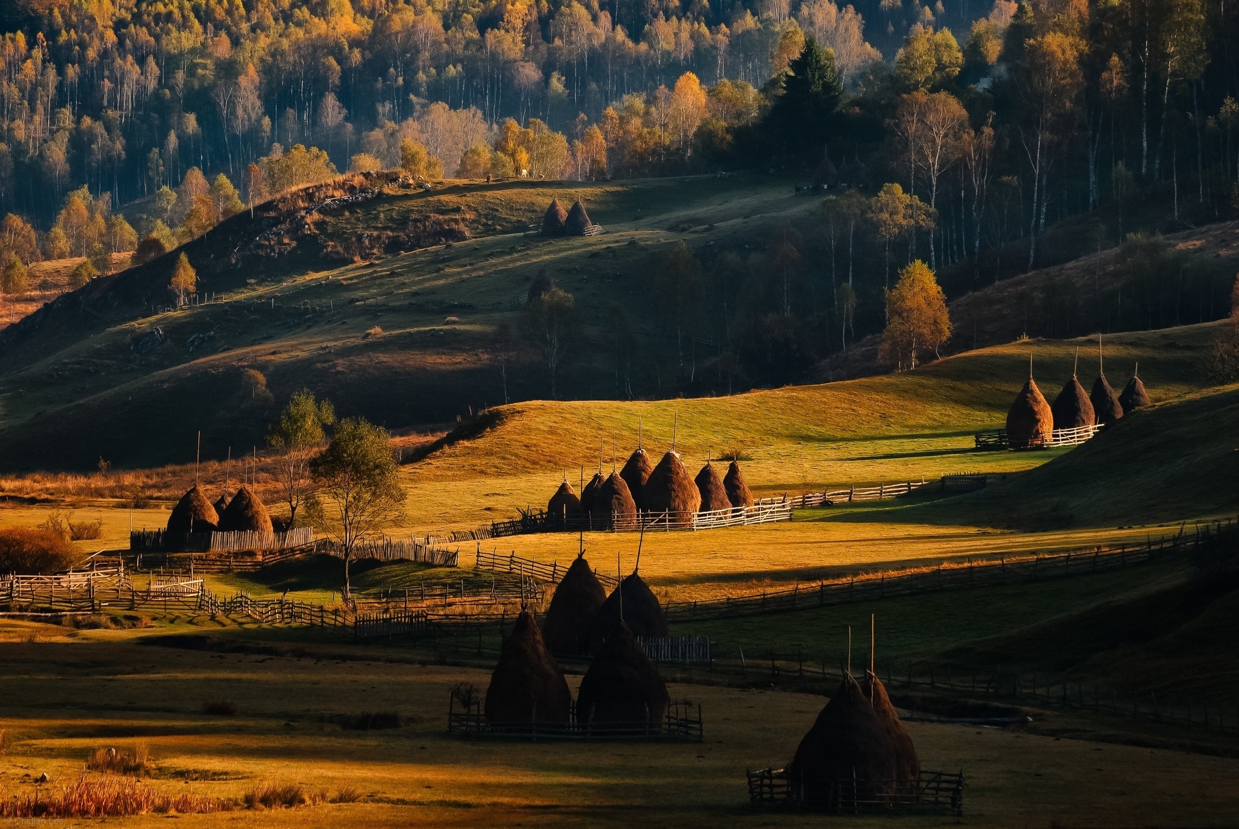 Haystacks in a rural landscape during autumn at sunset HD Wallpaper