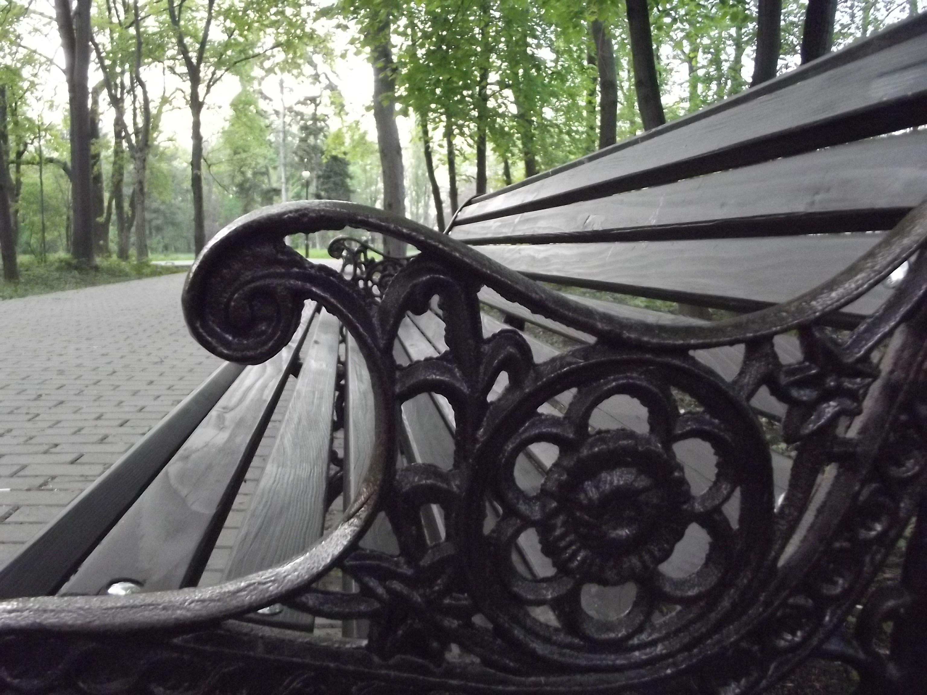 Ornate park bench on a paved path HD Wallpaper