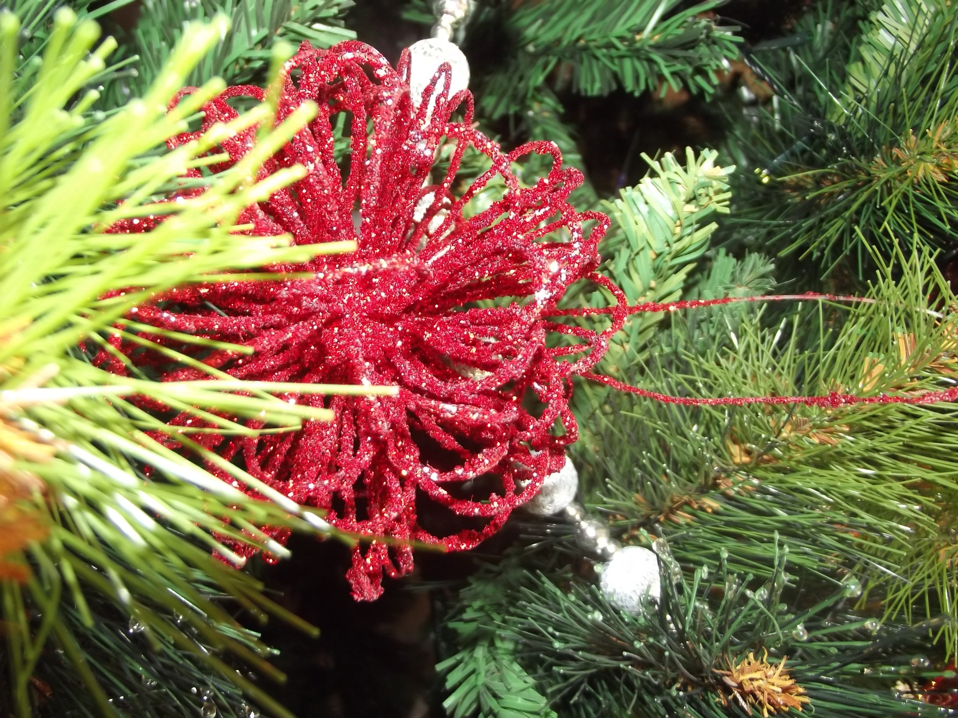 Red glitter Christmas ornament on a pine tree HD Wallpaper