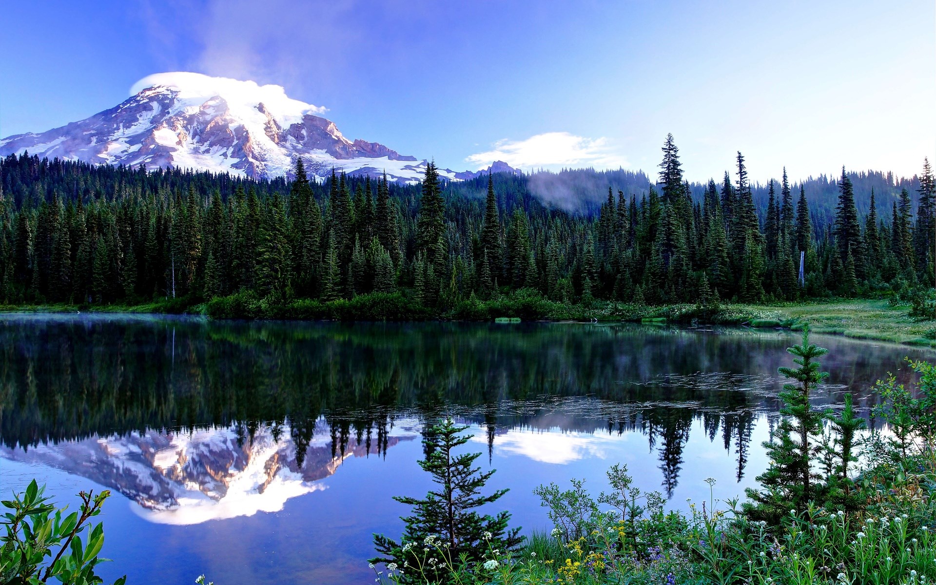 Mount Rainier reflected in a calm lake with evergreen trees HD Wallpaper