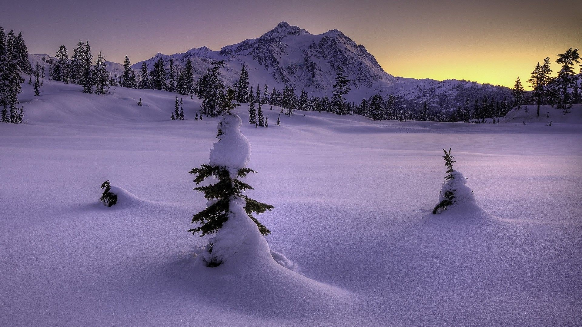 Snowy mountain landscape with trees at sunset HD Wallpaper
