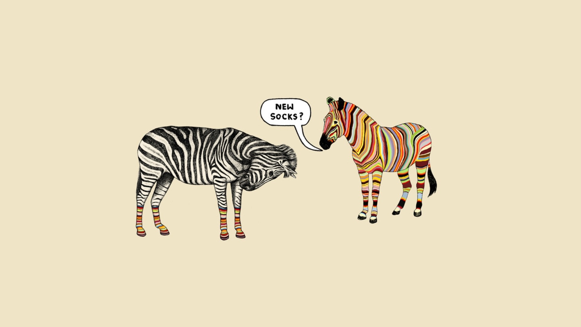 Two zebras, one with colorful stripes, the other with black and white stripes, one asks "New Socks?" HD Wallpaper