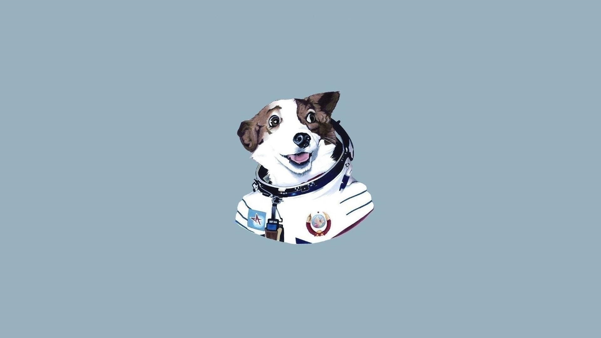 Illustration of a dog in a spacesuit HD Wallpaper