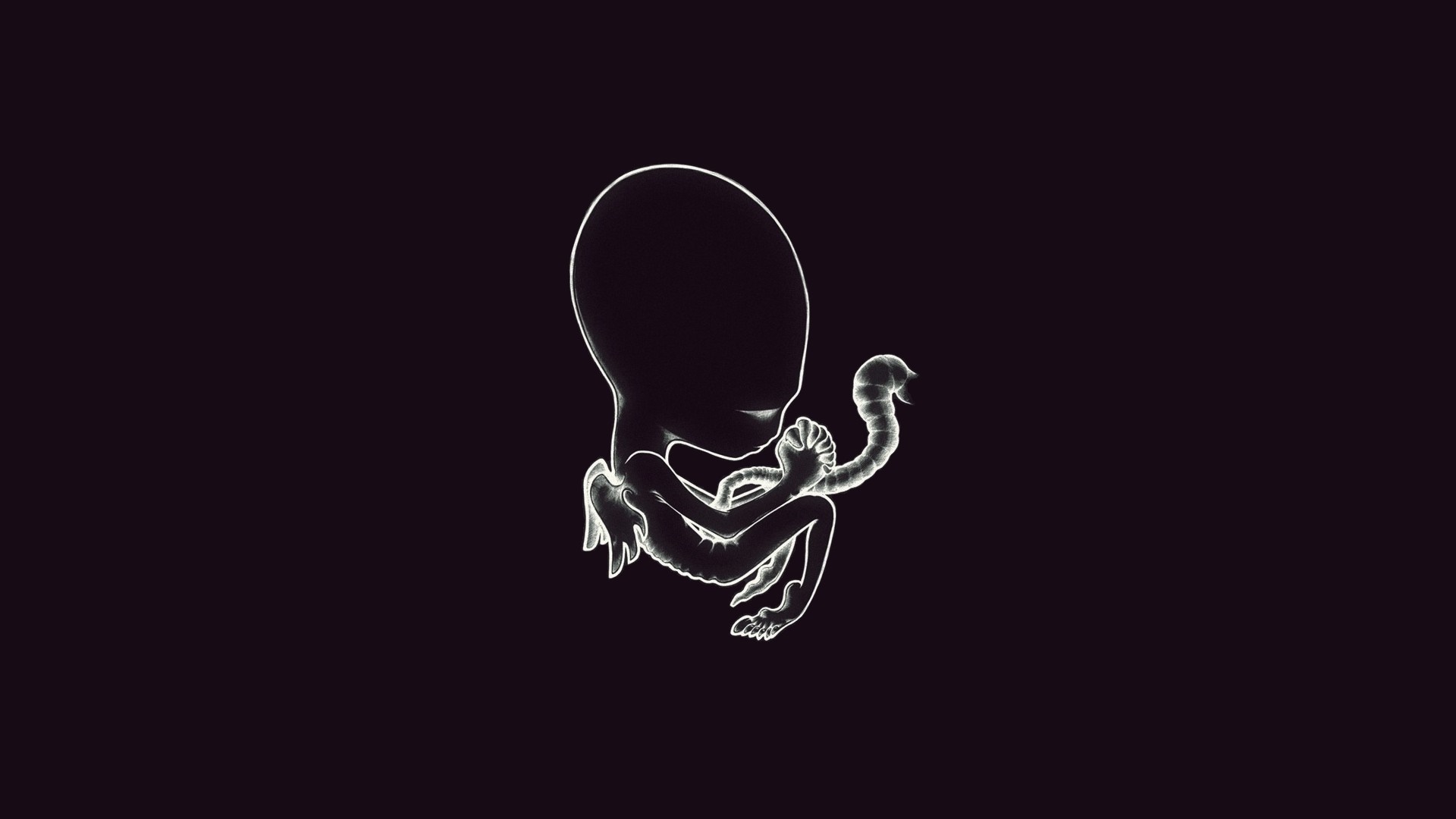 Fetus with umbilical cord on black background HD Wallpaper