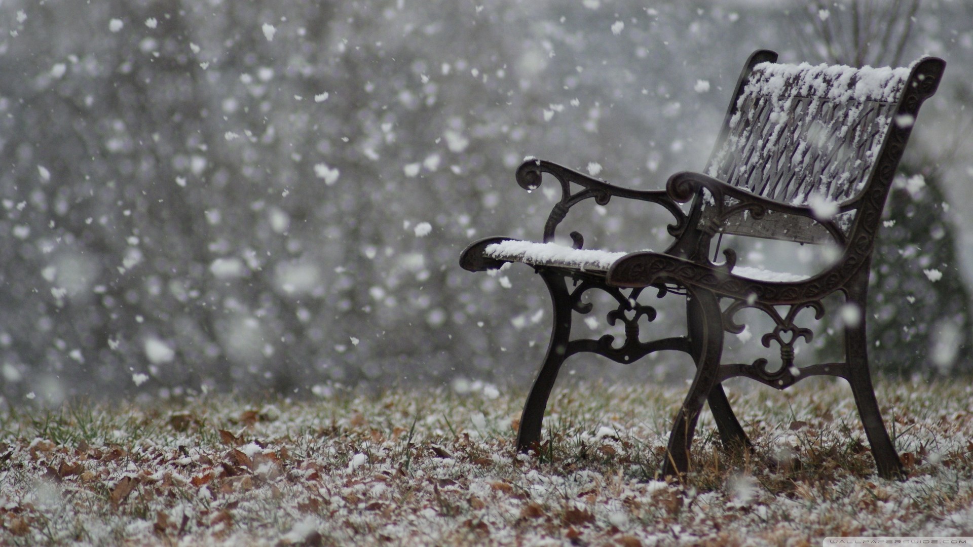 Empty park bench in falling snow HD Wallpaper