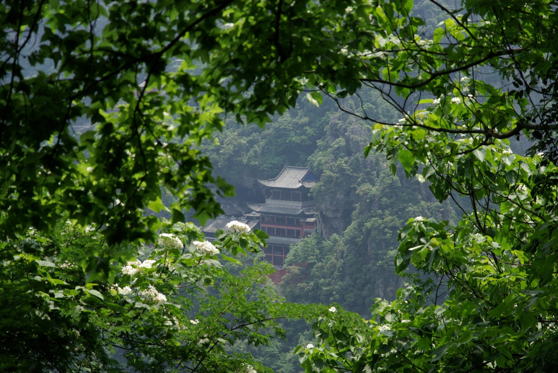 Temple nestled in a lush green forest with white flowers HD Wallpaper