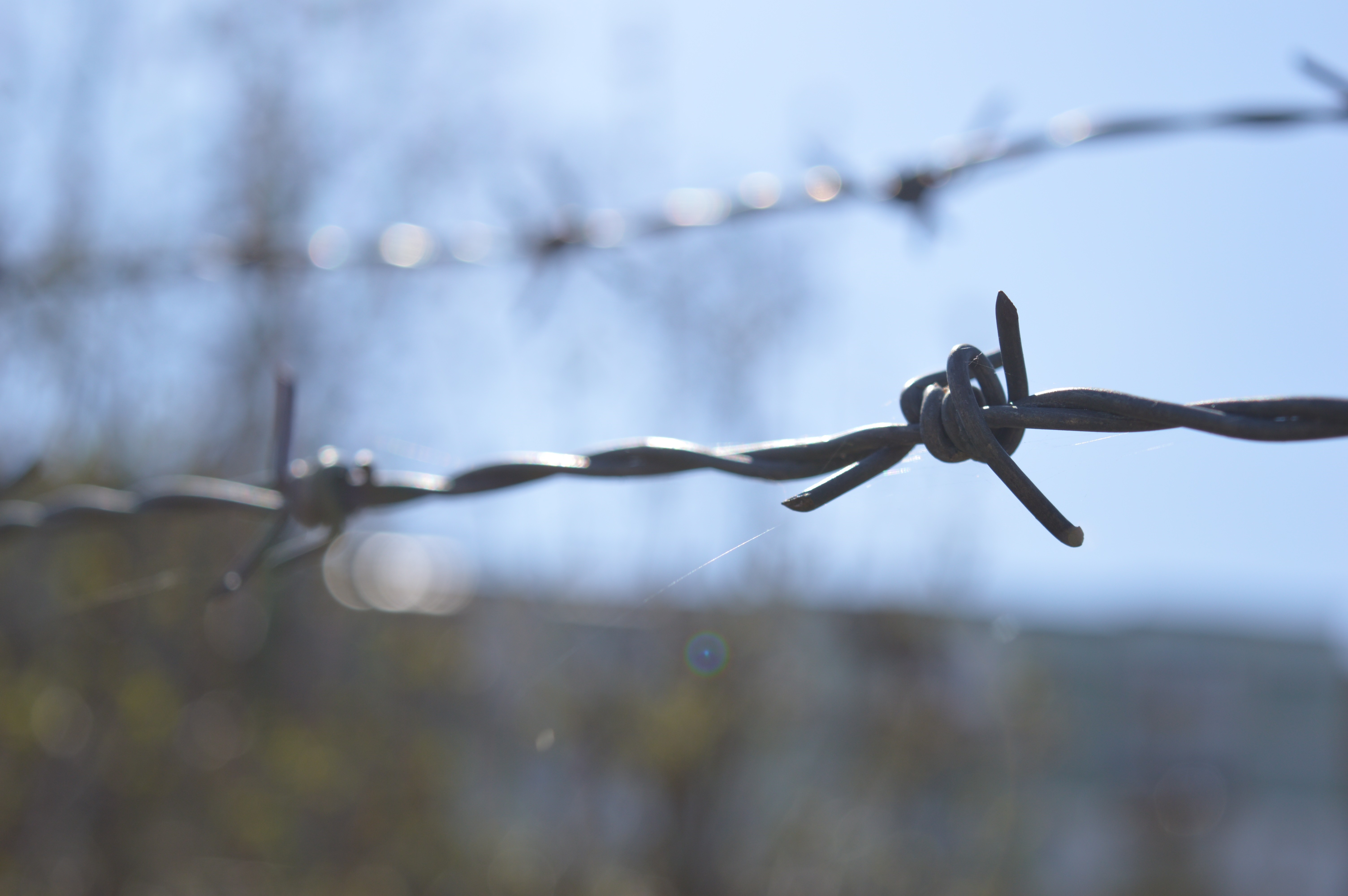 Barbed wire fence in sunlight HD Wallpaper