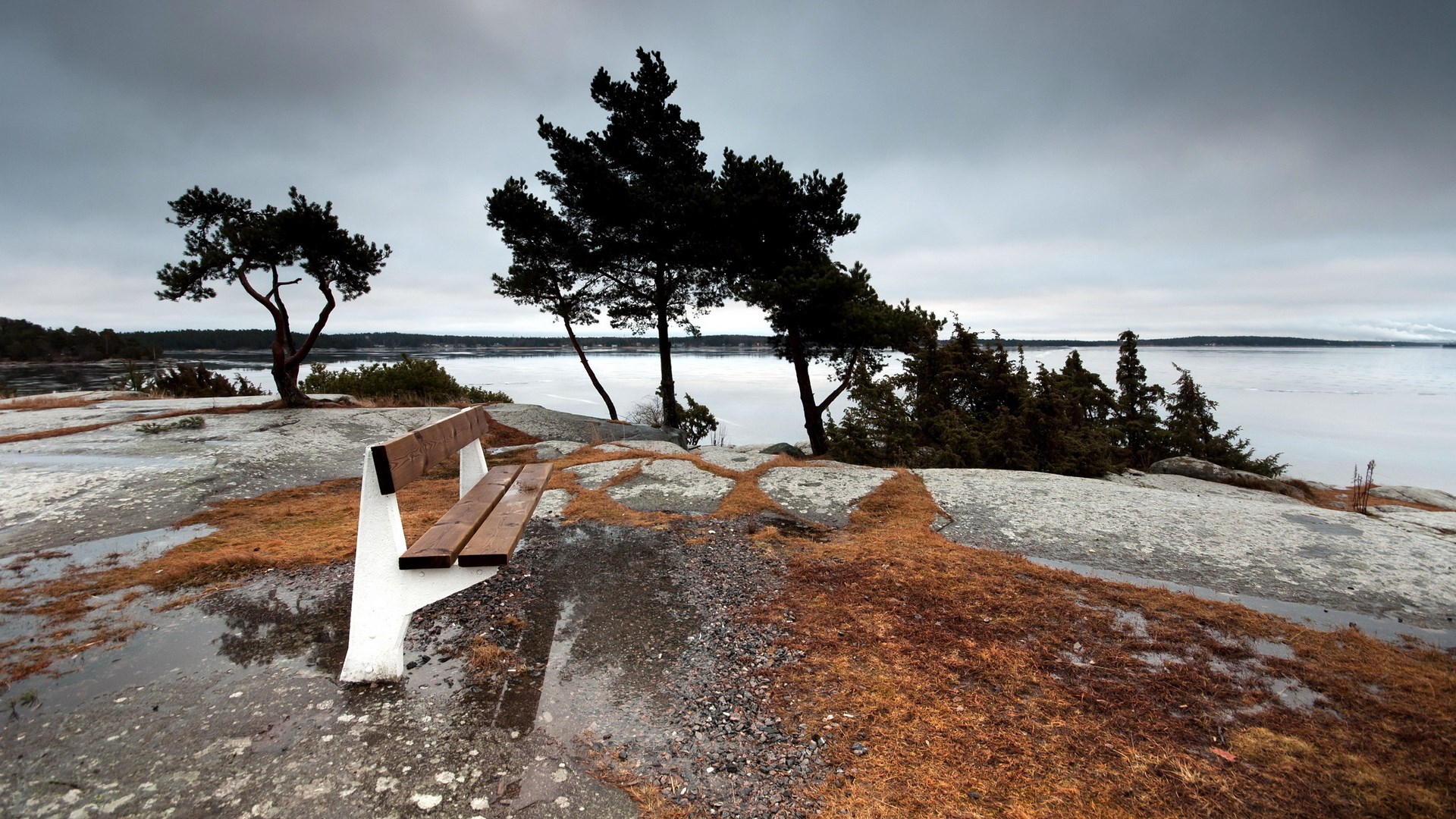 Bench on rocky shore with trees and water HD Wallpaper
