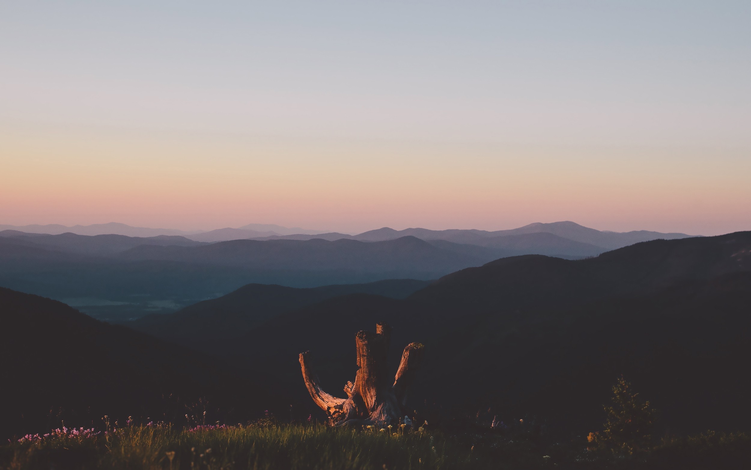 Mountain range at sunset with a dead tree stump HD Wallpaper