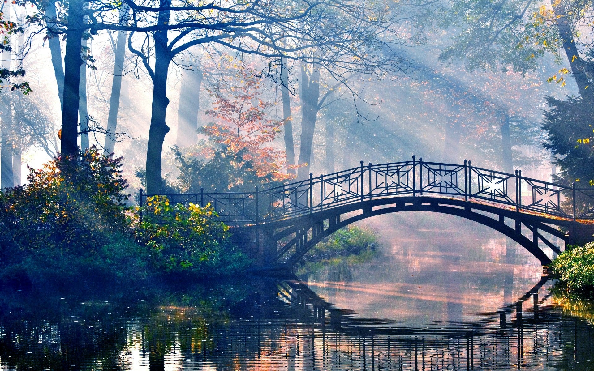 Bridge over a misty river in a forest during autumn HD Wallpaper