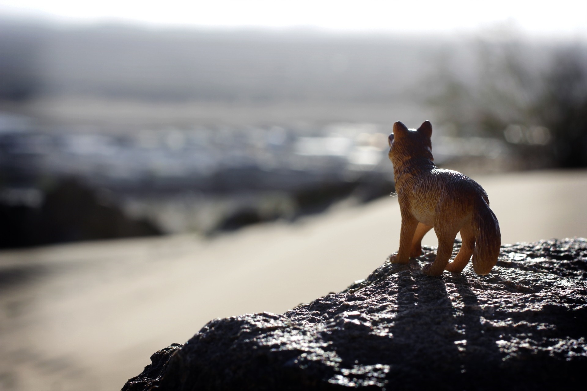 Toy fox on a rock overlooking a misty landscape HD Wallpaper