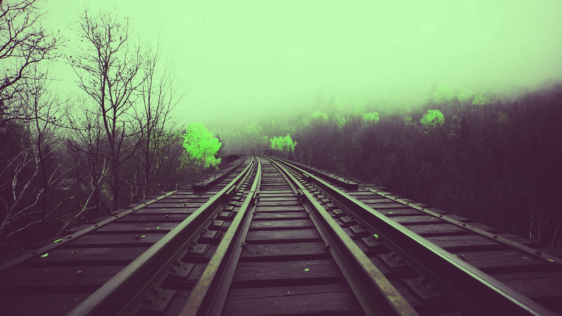 Train tracks through a foggy forest HD Wallpaper