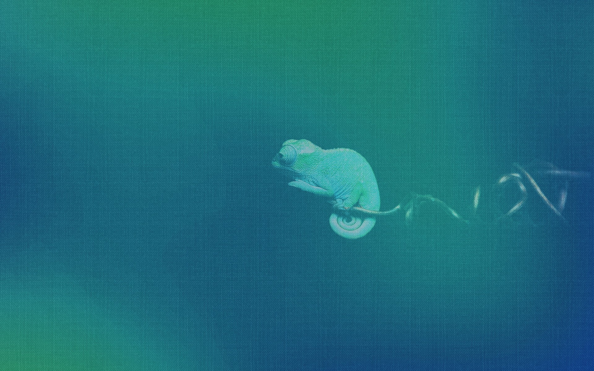 Chameleon on a branch underwater HD Wallpaper