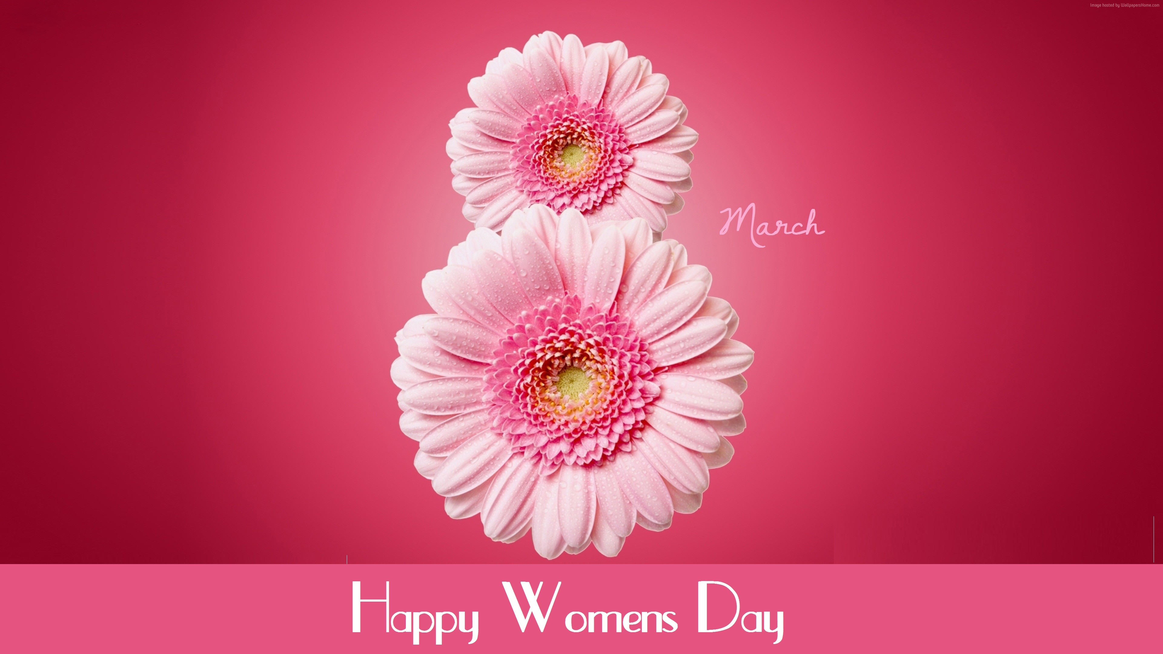 Happy Womens Day March 8th Gerbera Flowers HD Wallpaper