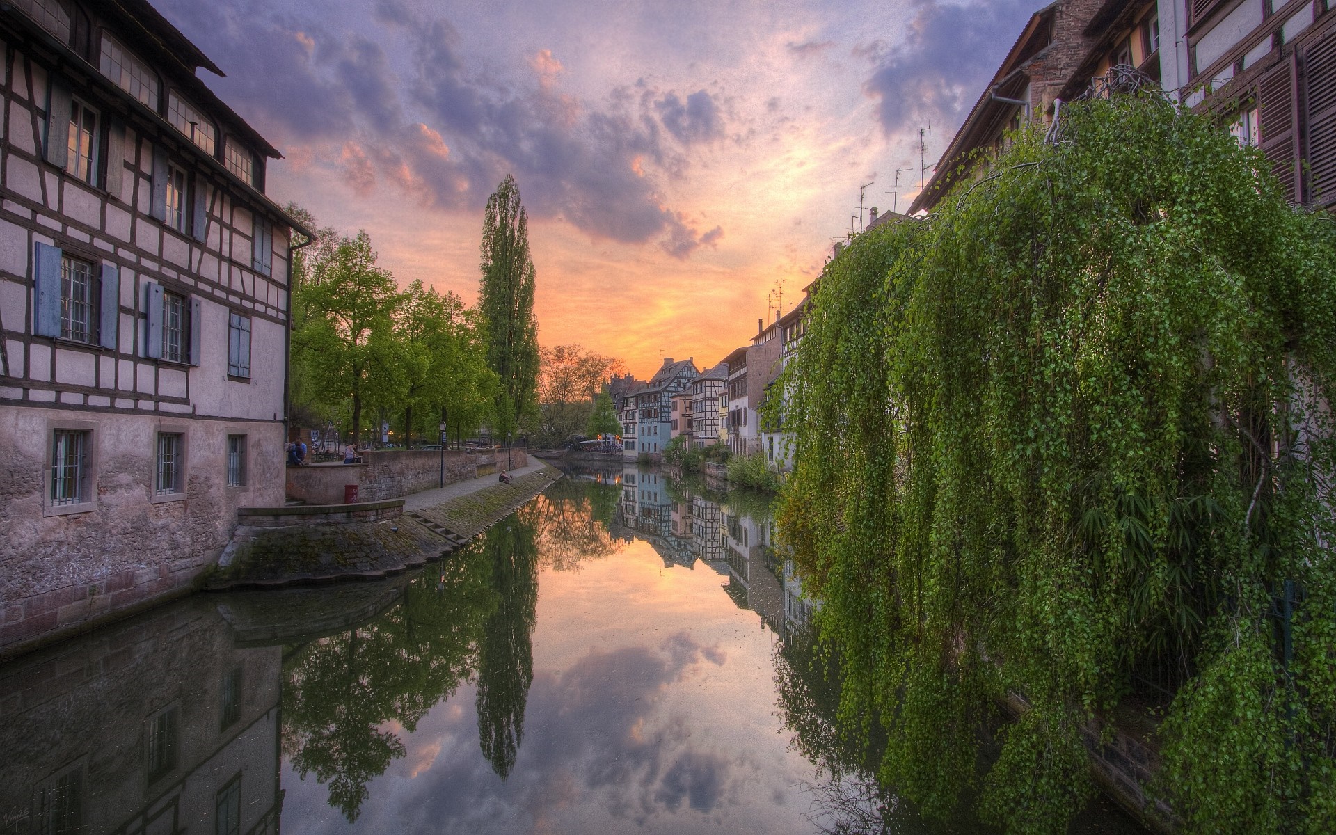 River with historic buildings and weeping willow tree at sunset HD Wallpaper