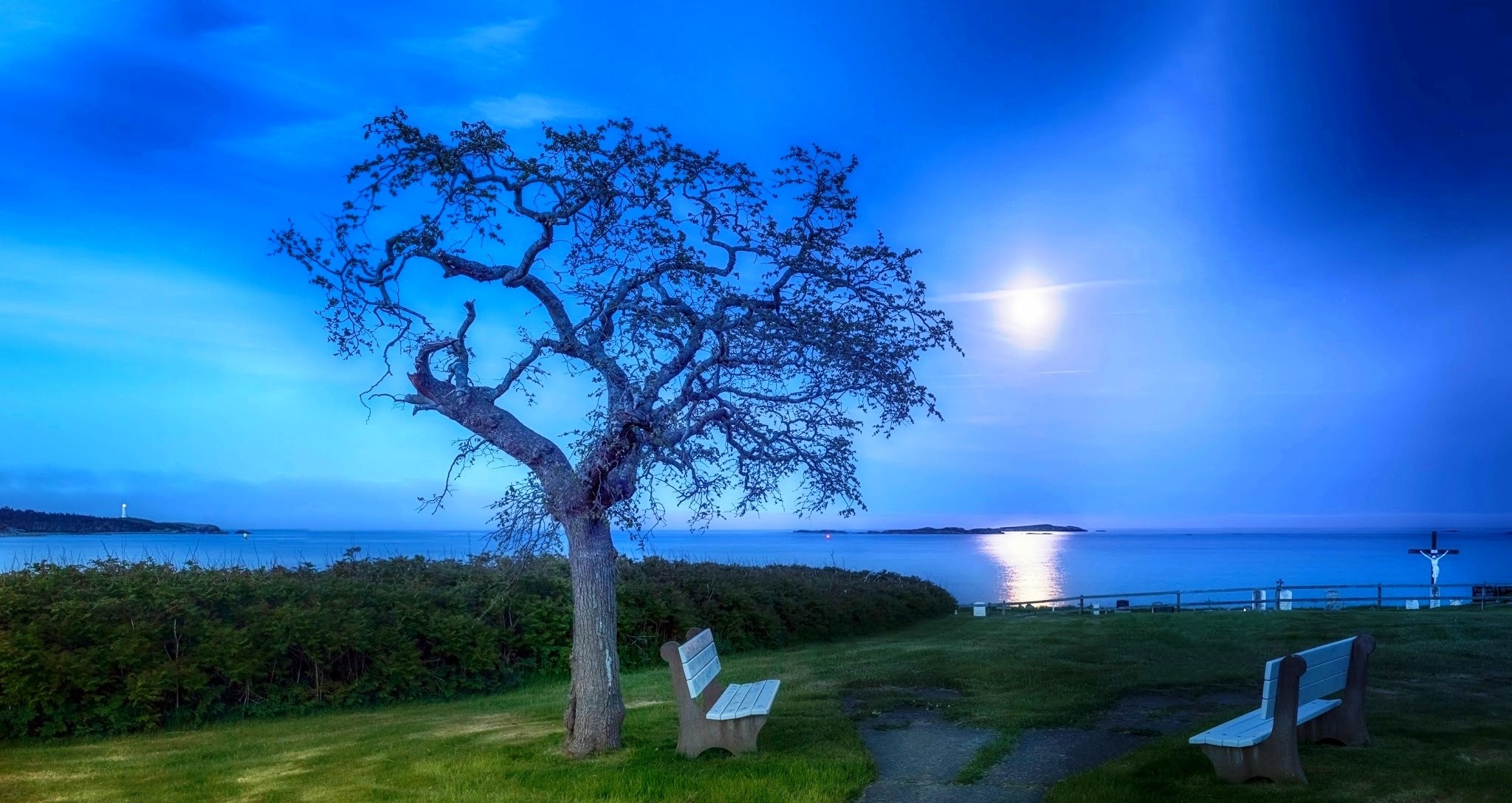 Tree and benches by the sea at dusk HD Wallpaper