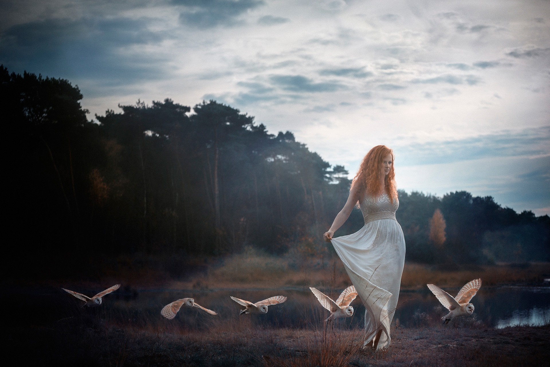 Woman in white dress with owls in forest HD Wallpaper