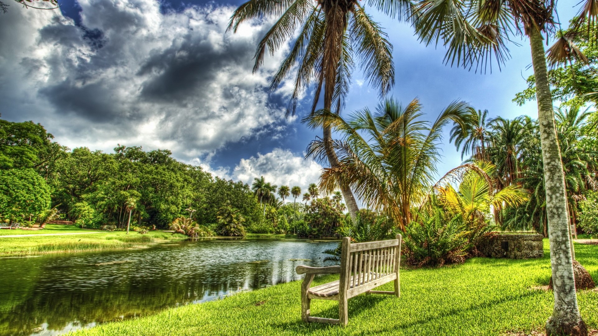 Park bench by a lake with palm trees HD Wallpaper
