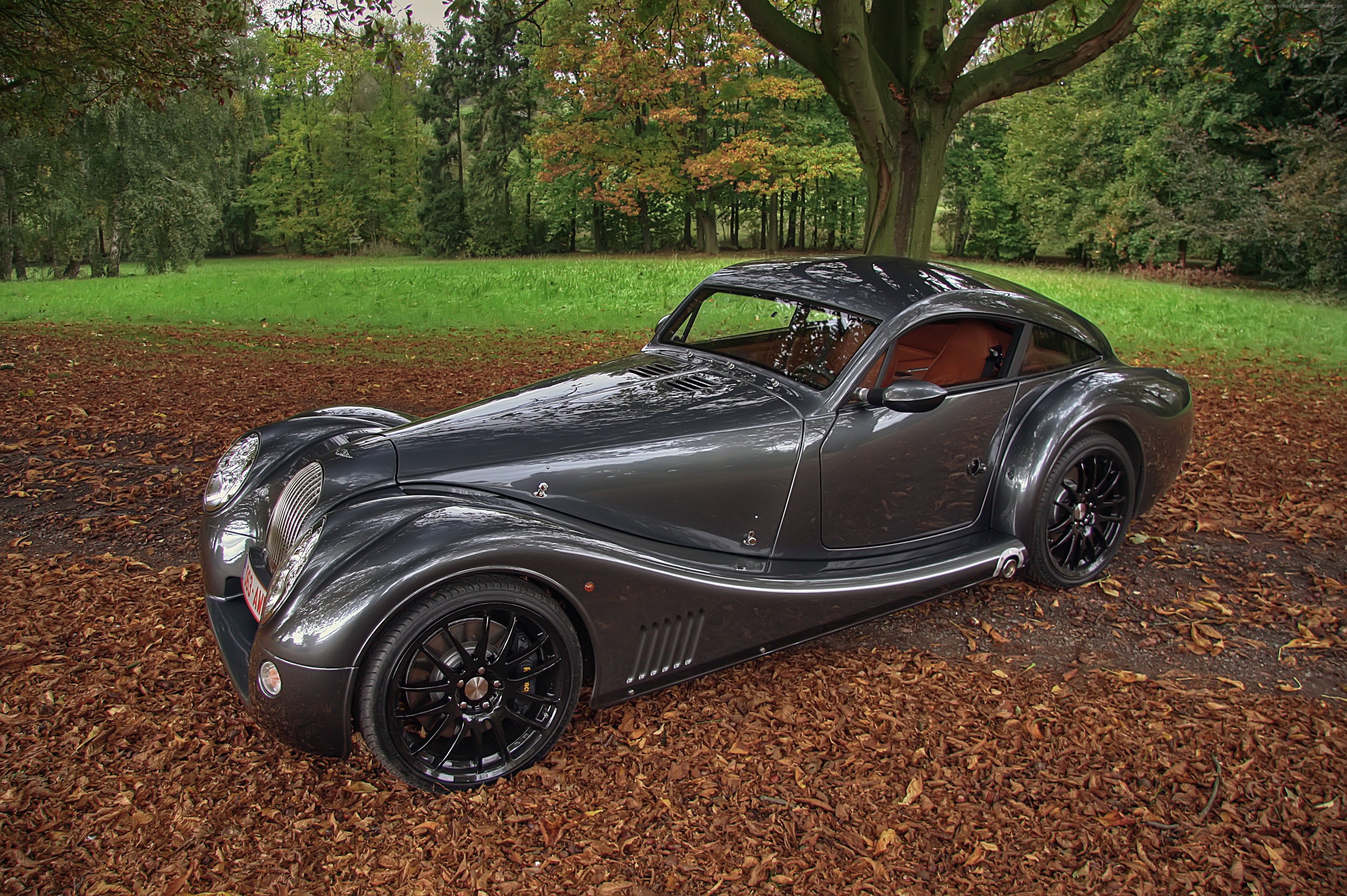 Grey Morgan Aero 8 parked on fallen leaves HD Wallpaper