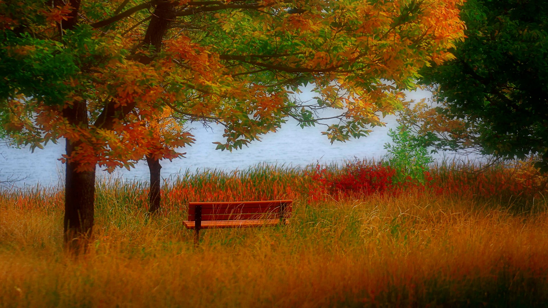 Autumn park bench by a lake HD Wallpaper