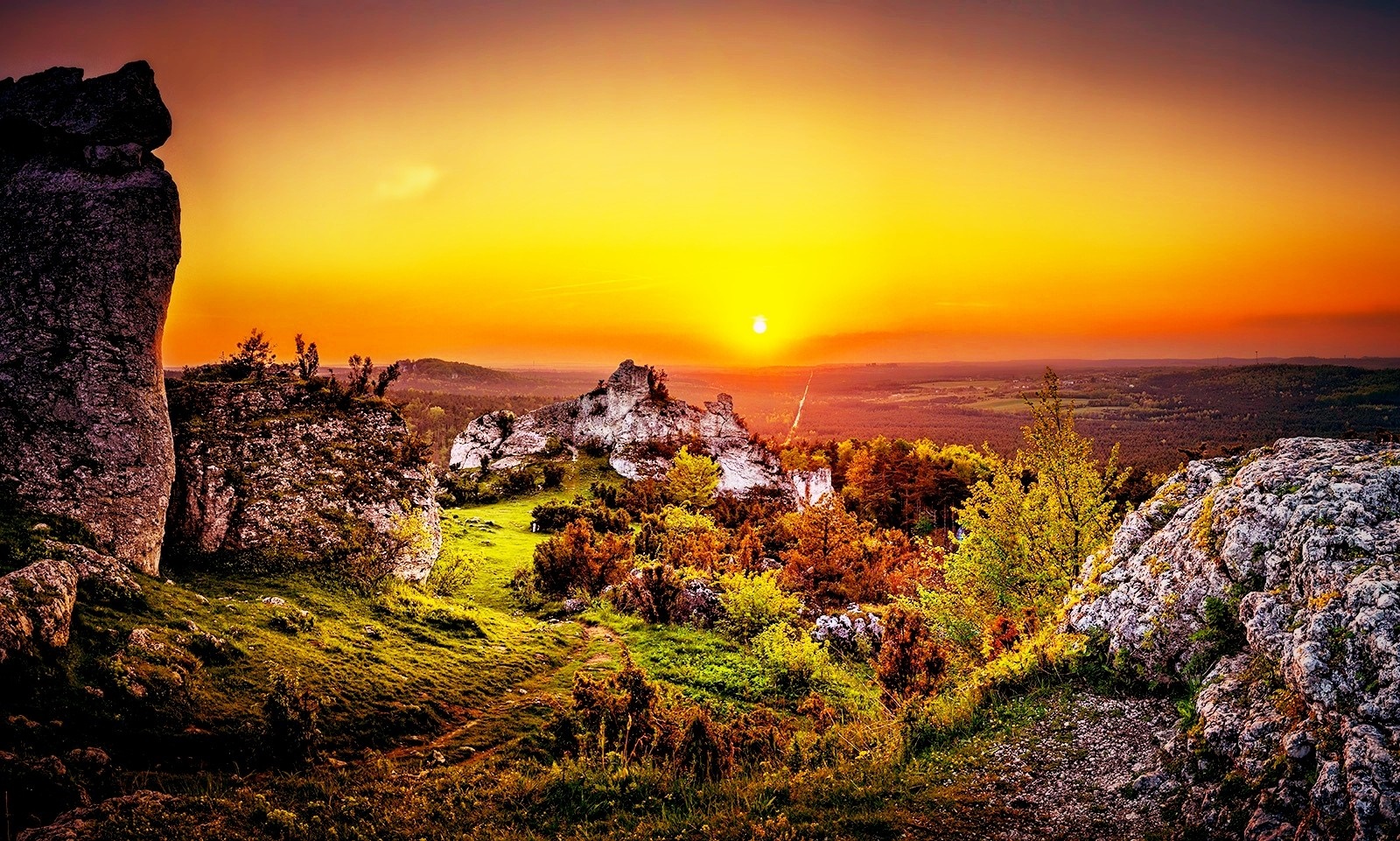 Rocky landscape with trees during sunset HD Wallpaper