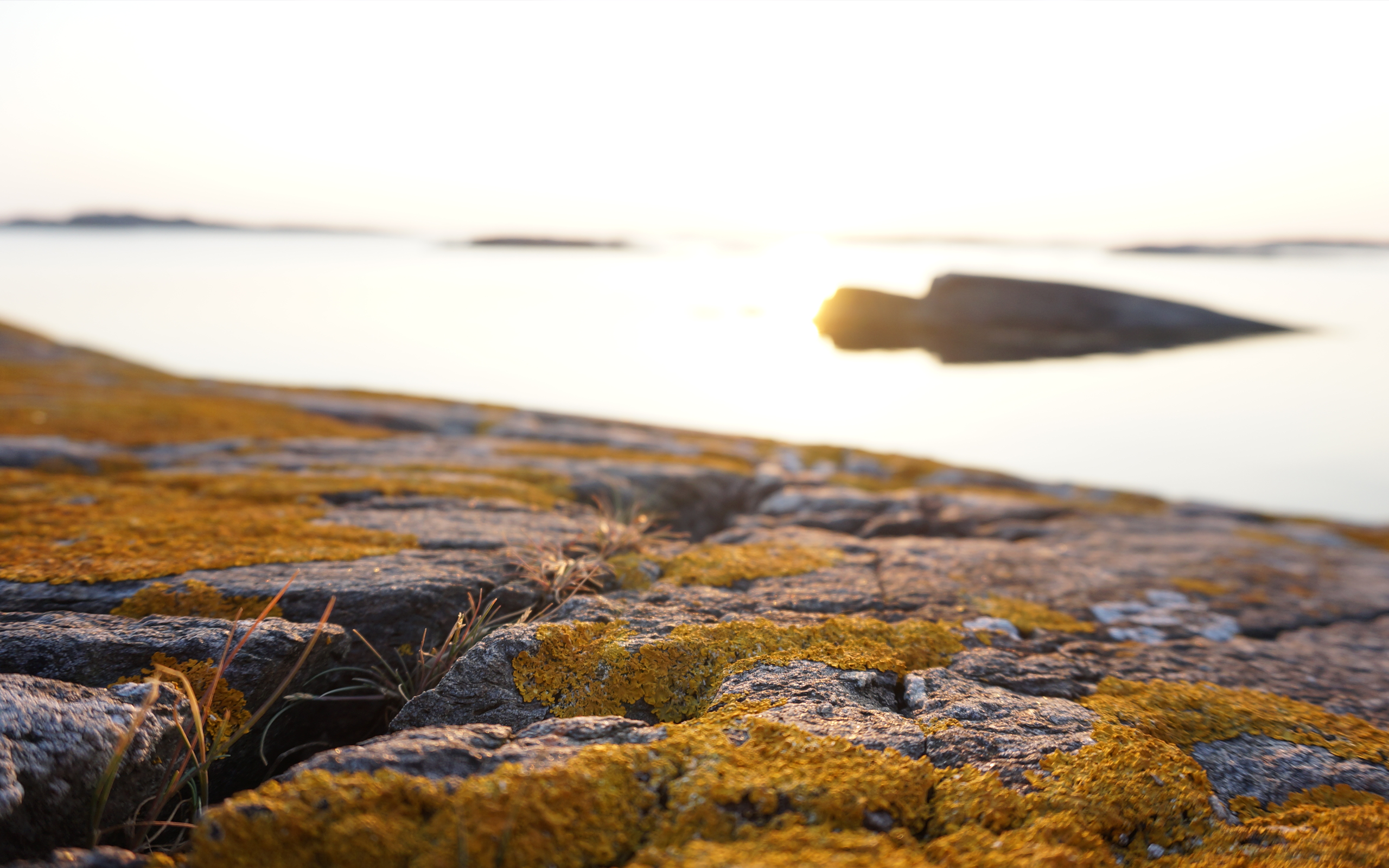 Rocks covered in lichen by the sea at sunset HD Wallpaper