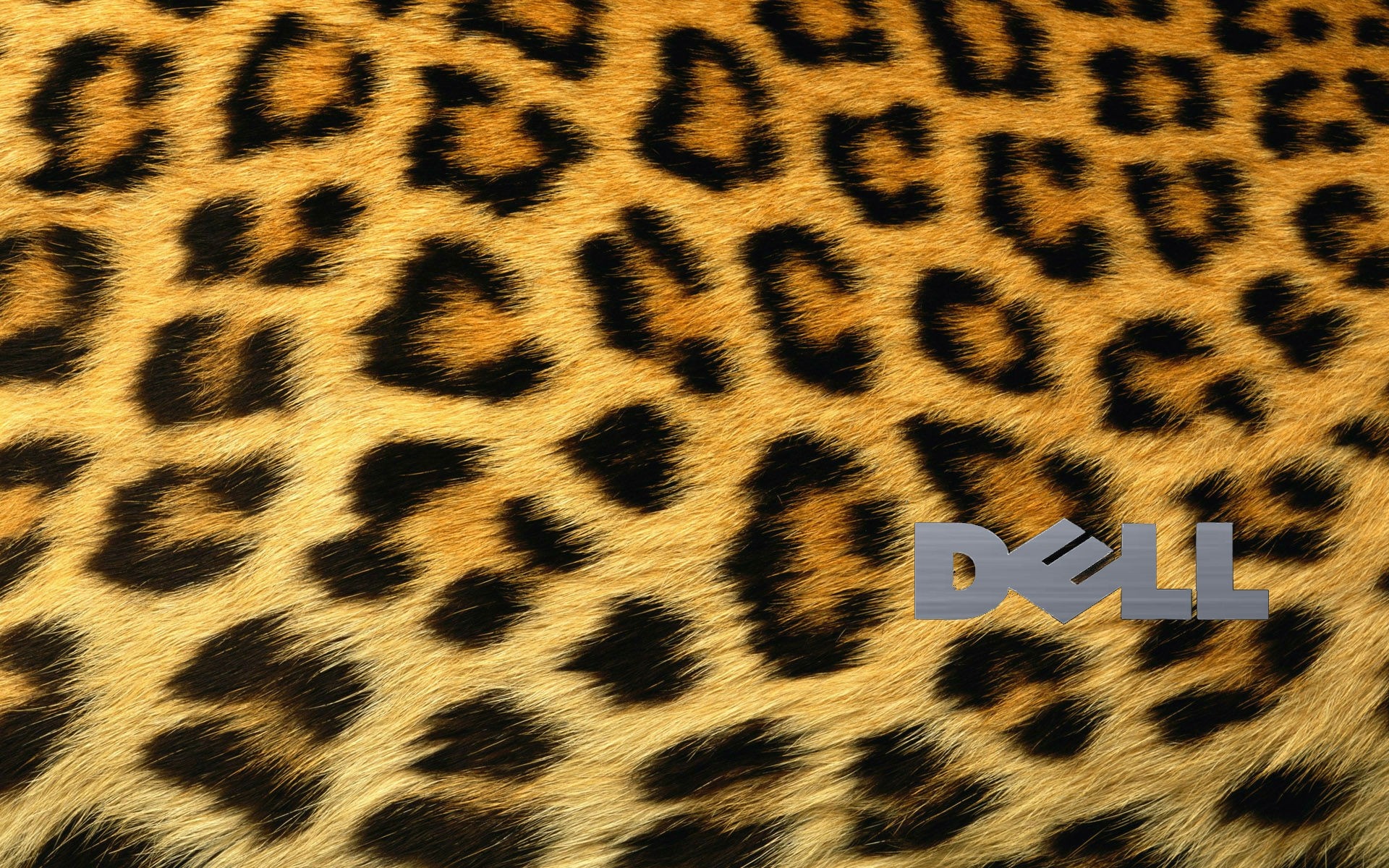 Dell logo on leopard print pattern HD Wallpaper