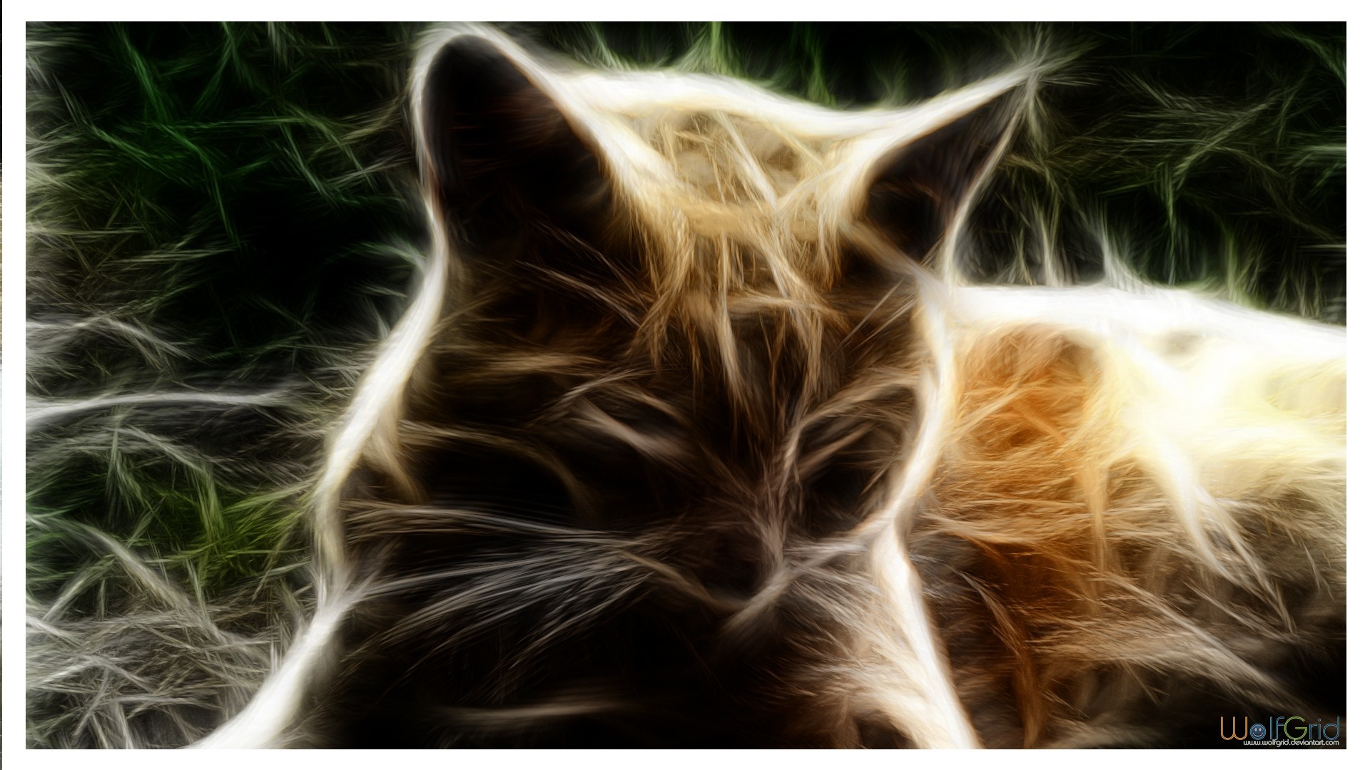 Fractalius cat with grass background HD Wallpaper