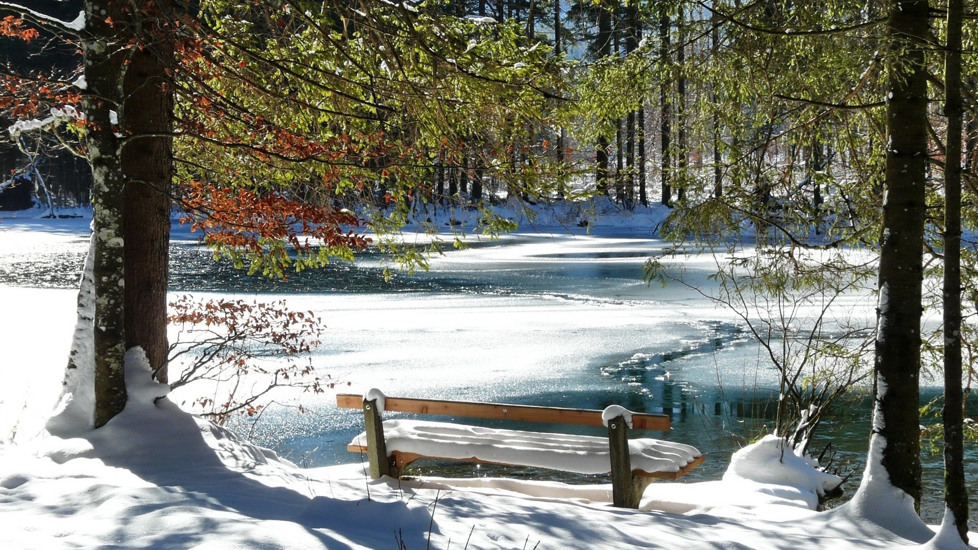 Snowy bench by a partially frozen lake in a forest HD Wallpaper