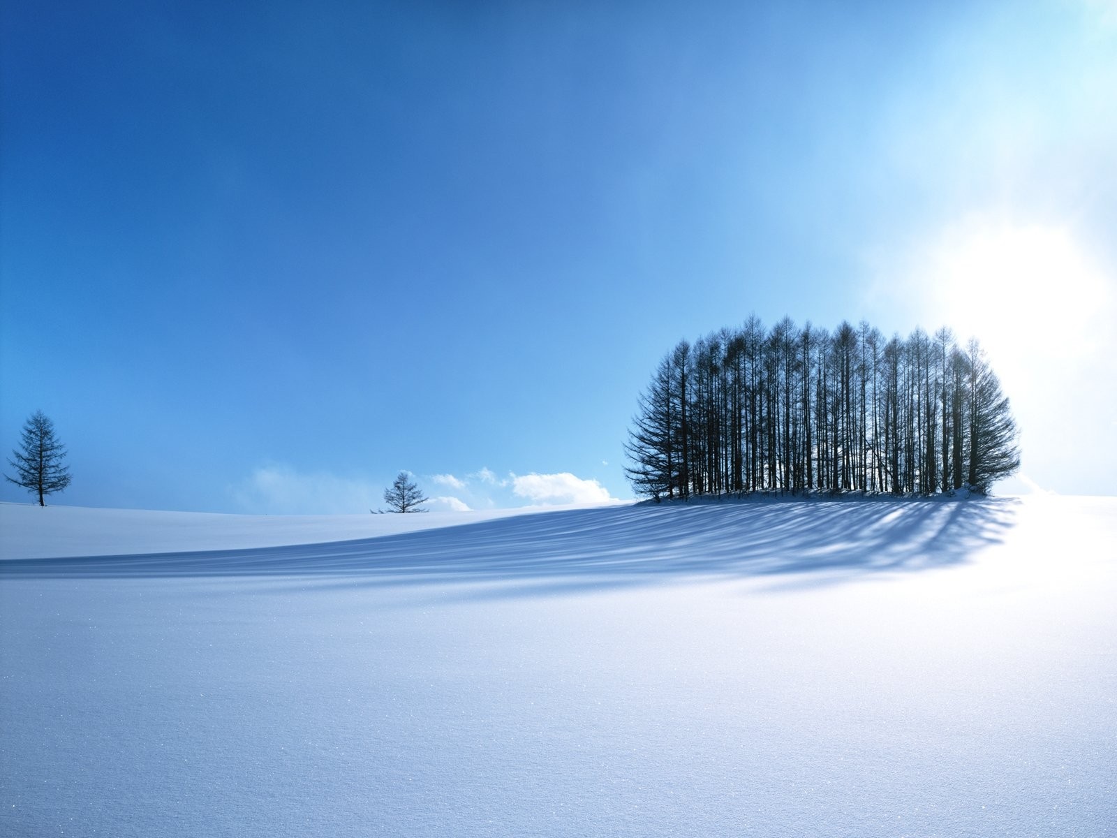 Snowy landscape with trees under a bright blue sky HD Wallpaper