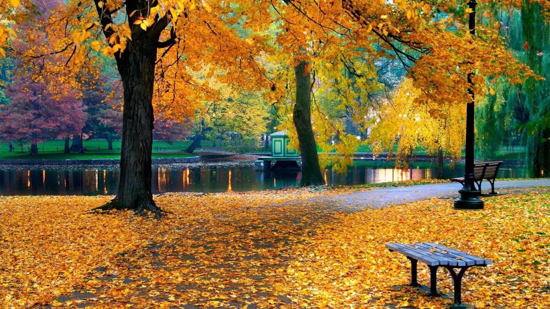 Park bench and trees in autumn HD Wallpaper