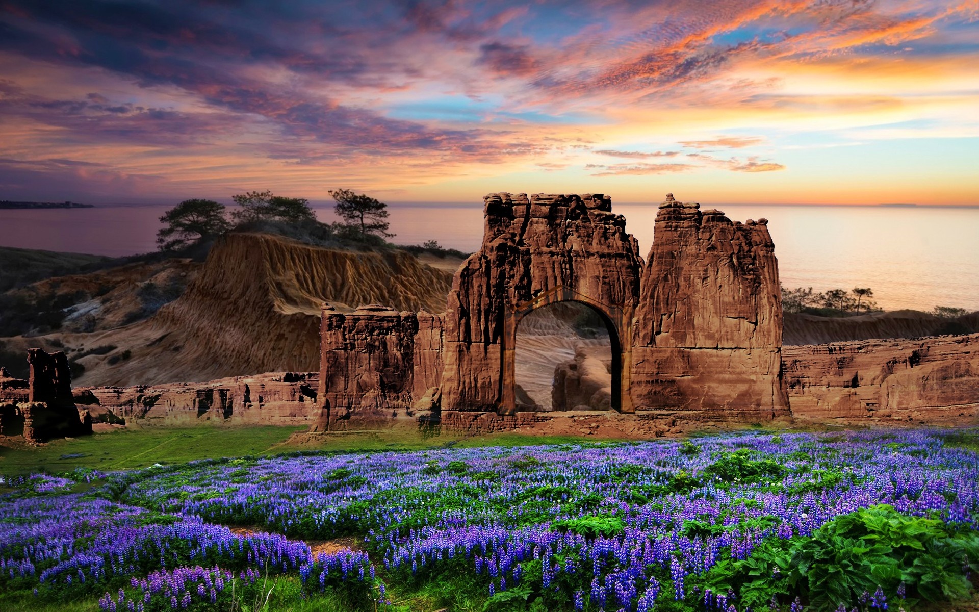 Sunset over rocky arch with purple flowers HD Wallpaper
