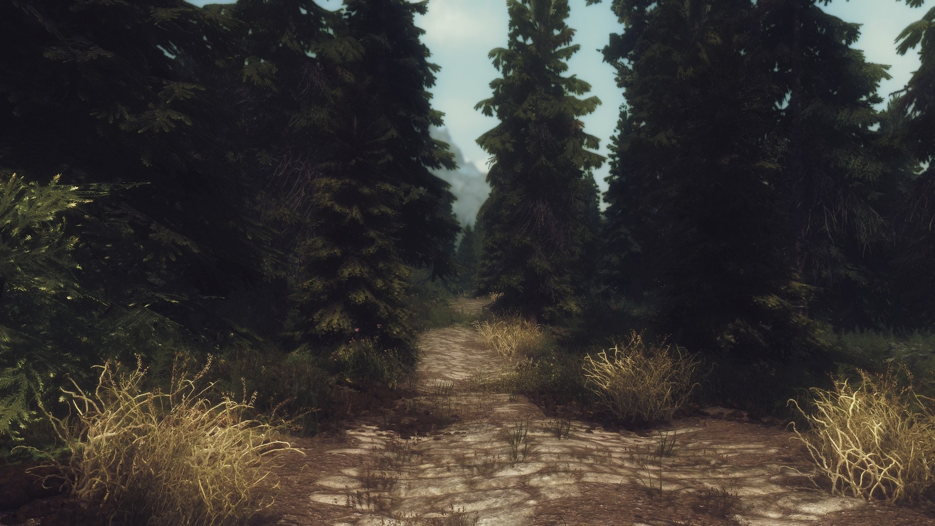 Path through a dark forest in The Elder Scrolls V Skyrim HD Wallpaper