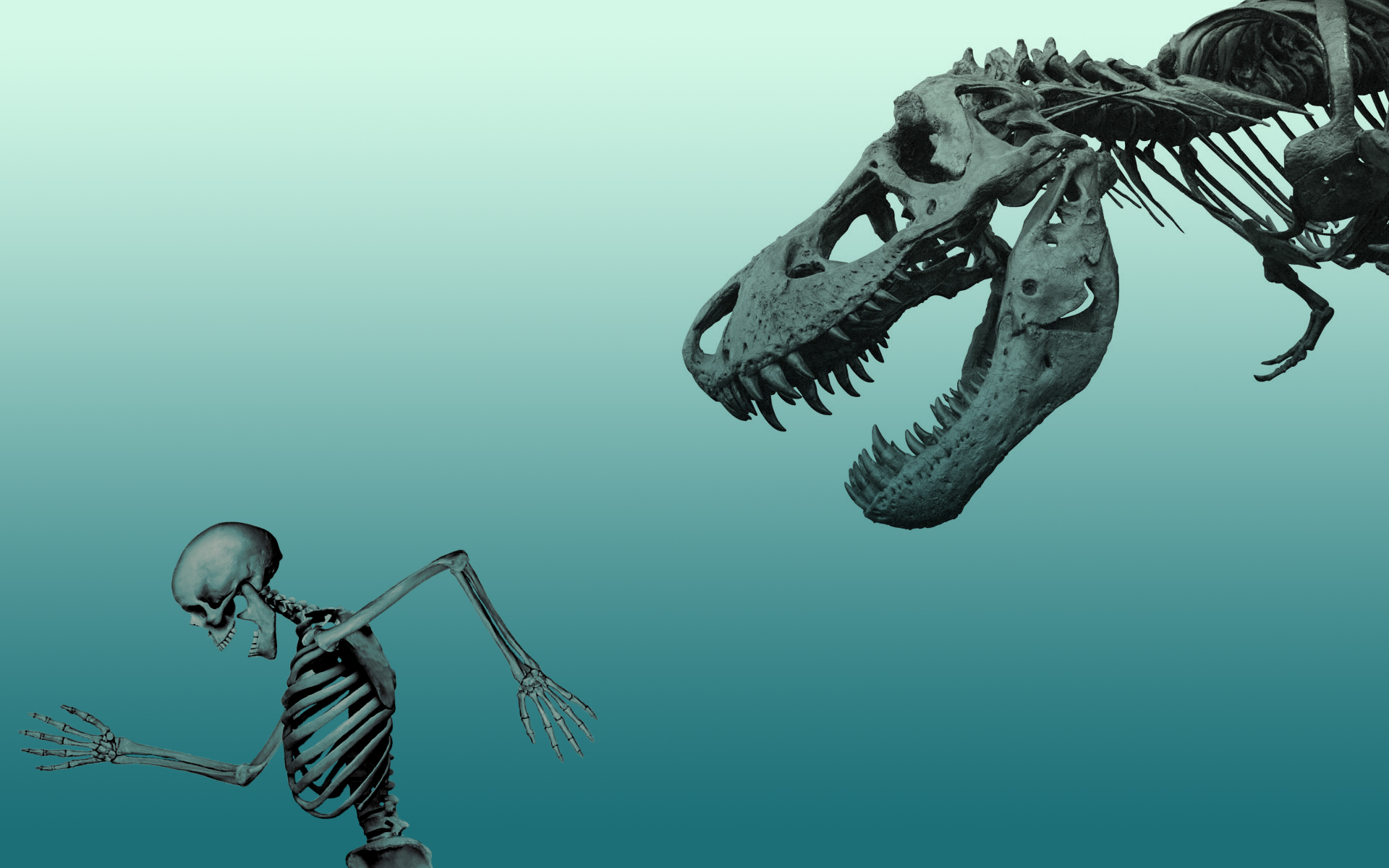 Skeleton running from T-Rex skeleton HD Wallpaper