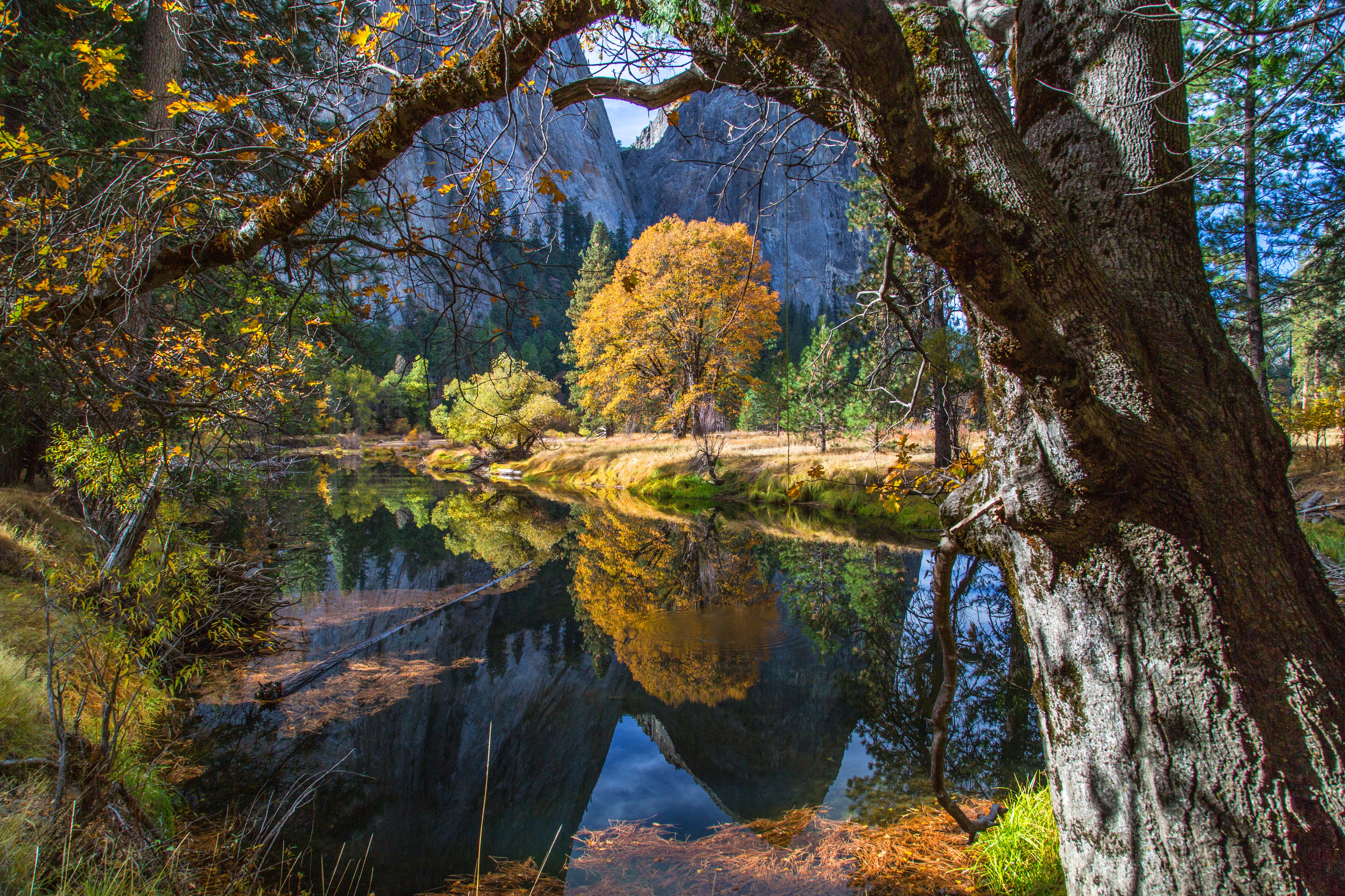 Autumn trees reflecting in Yosemite National Park lake HD Wallpaper
