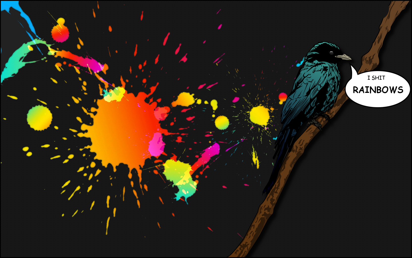 Bird on a branch with rainbow paint splatters HD Wallpaper