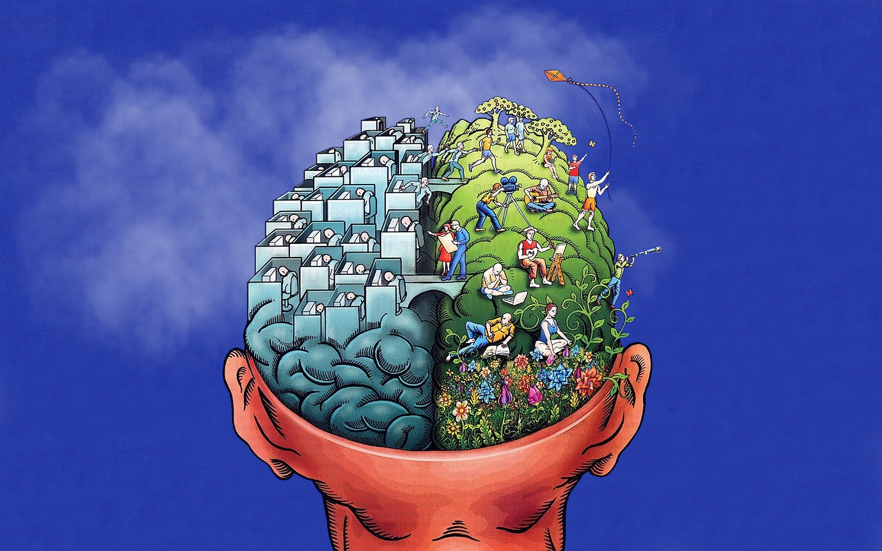 Illustration of a human brain divided into two hemispheres HD Wallpaper