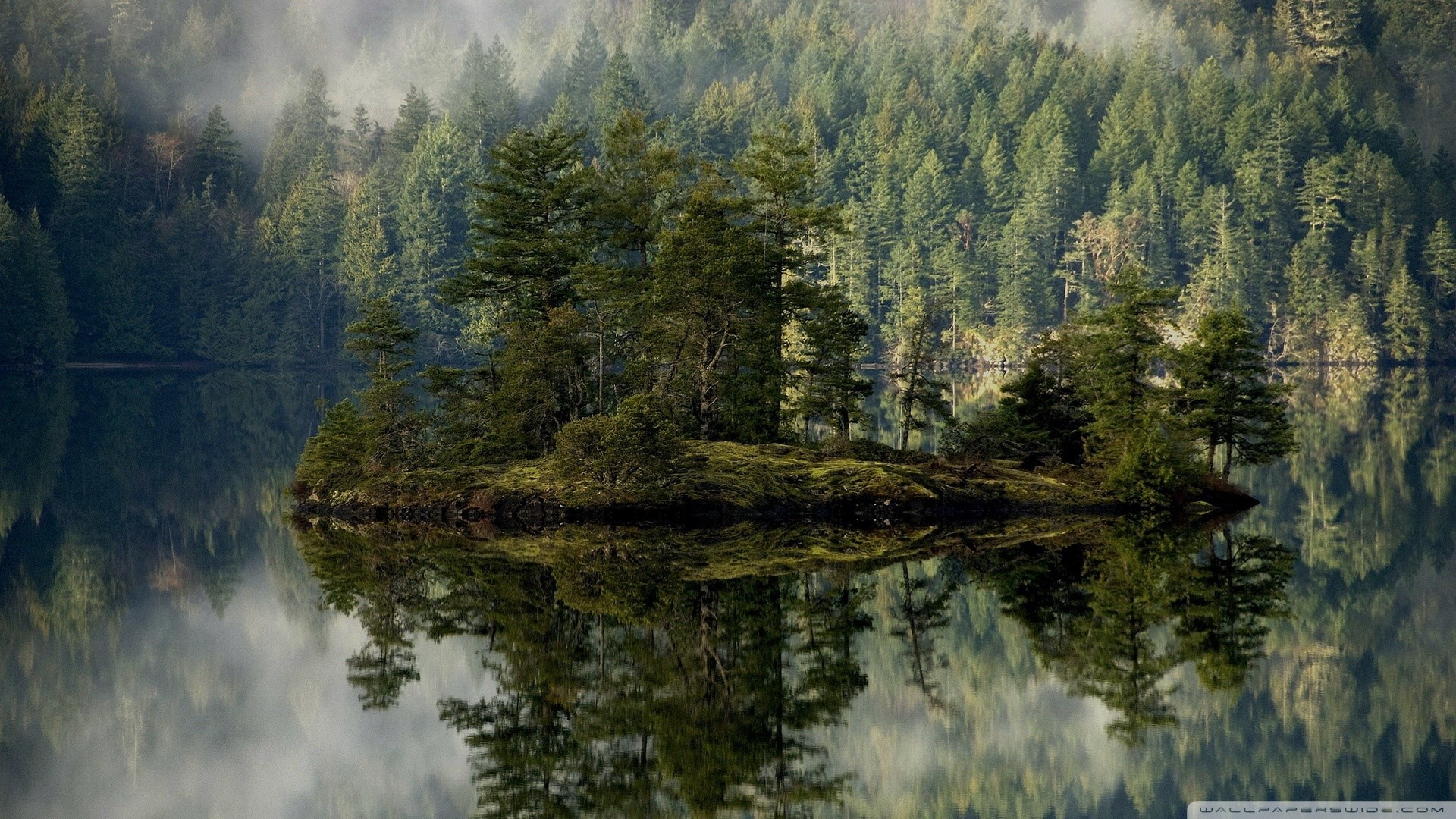 Misty forest reflected in a calm lake HD Wallpaper