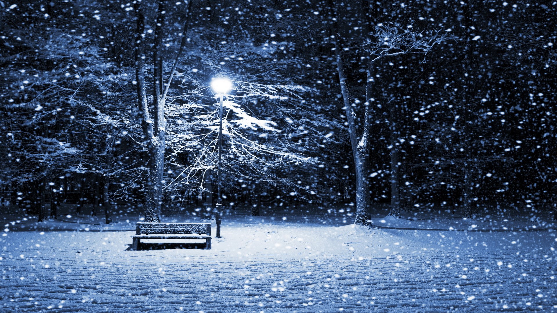 Snowy park at night with a bench and lamppost HD Wallpaper