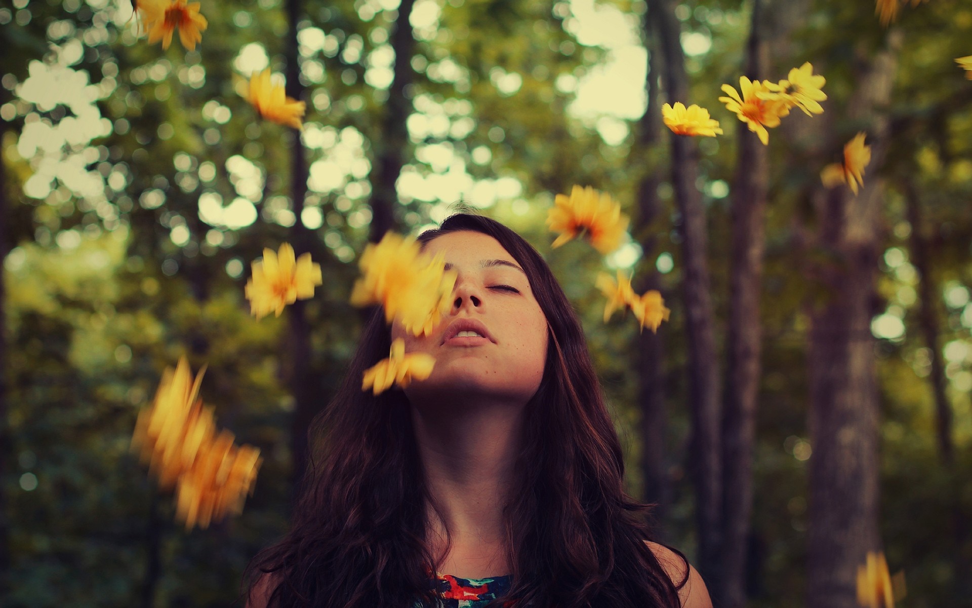 Woman with yellow flowers falling around her in a forest HD Wallpaper