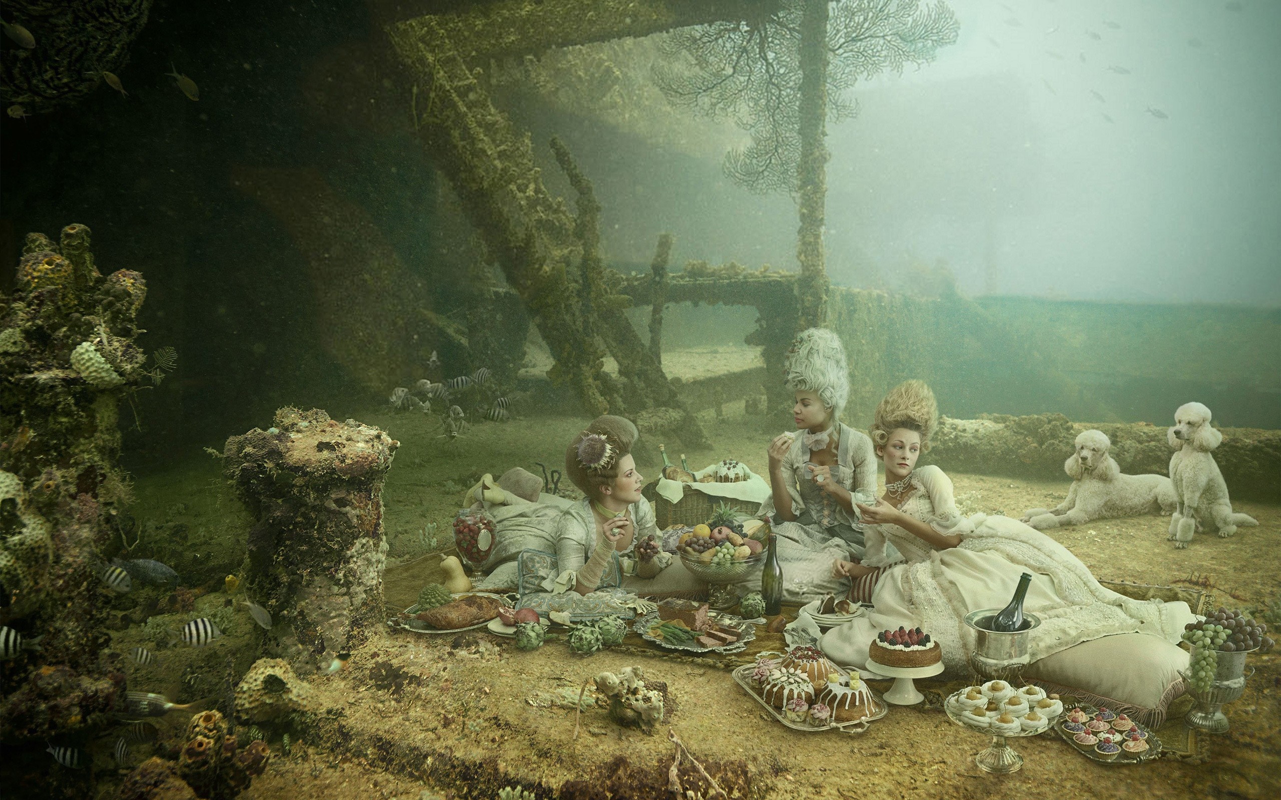 Underwater picnic with women in wigs and poodles HD Wallpaper