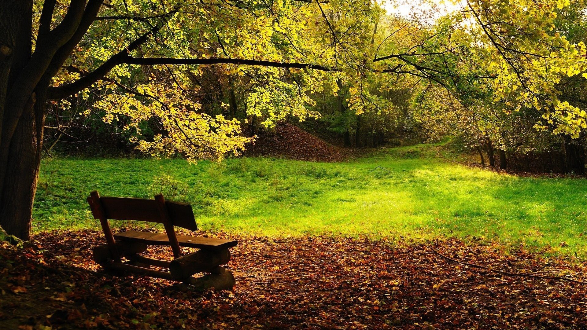 Wooden bench in an autumn park with fallen leaves HD Wallpaper