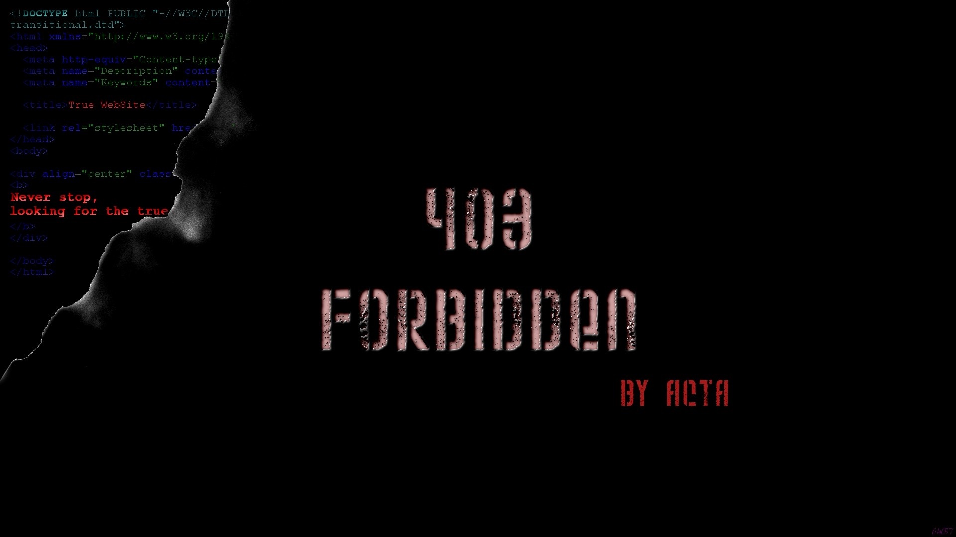 403 Forbidden by ACTA HD Wallpaper