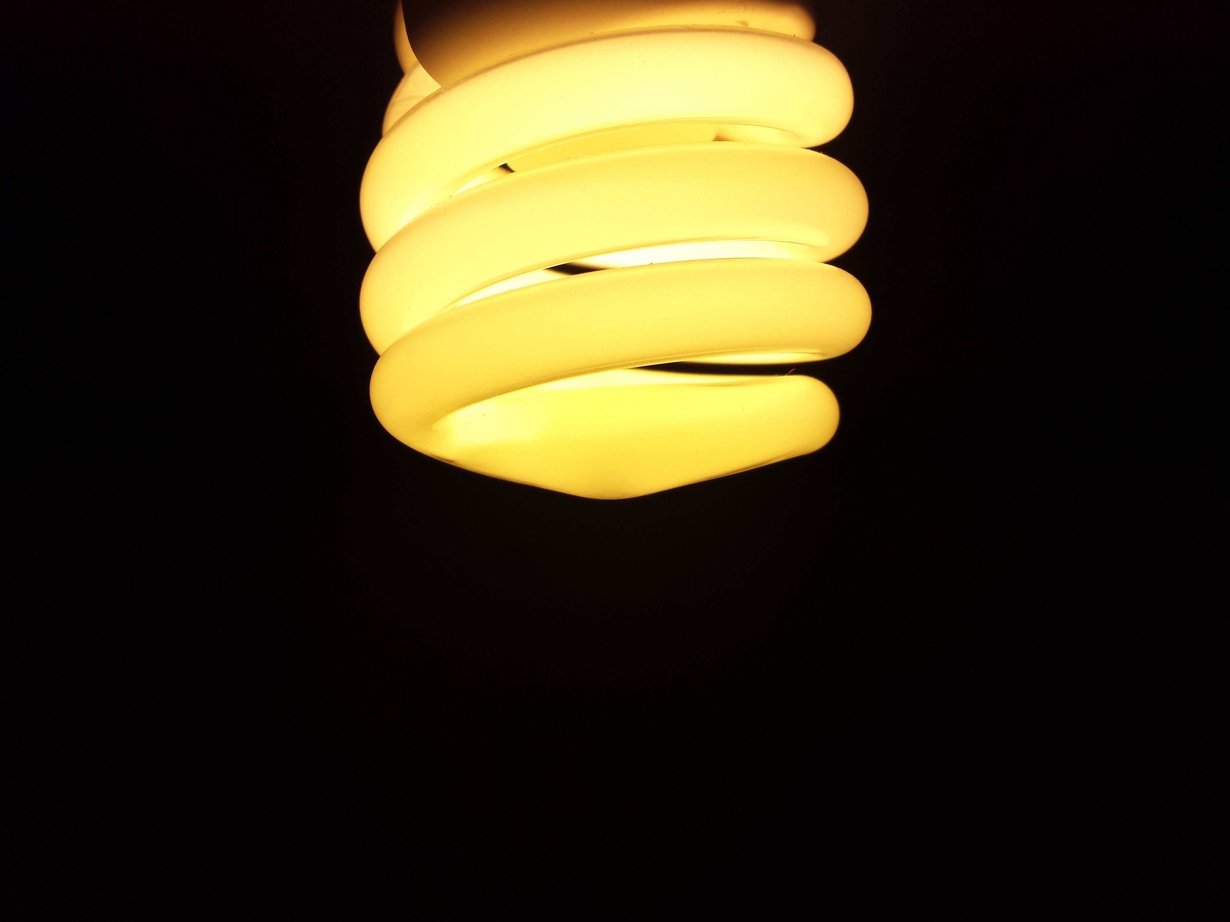 Close-up of a glowing spiral fluorescent light bulb HD Wallpaper