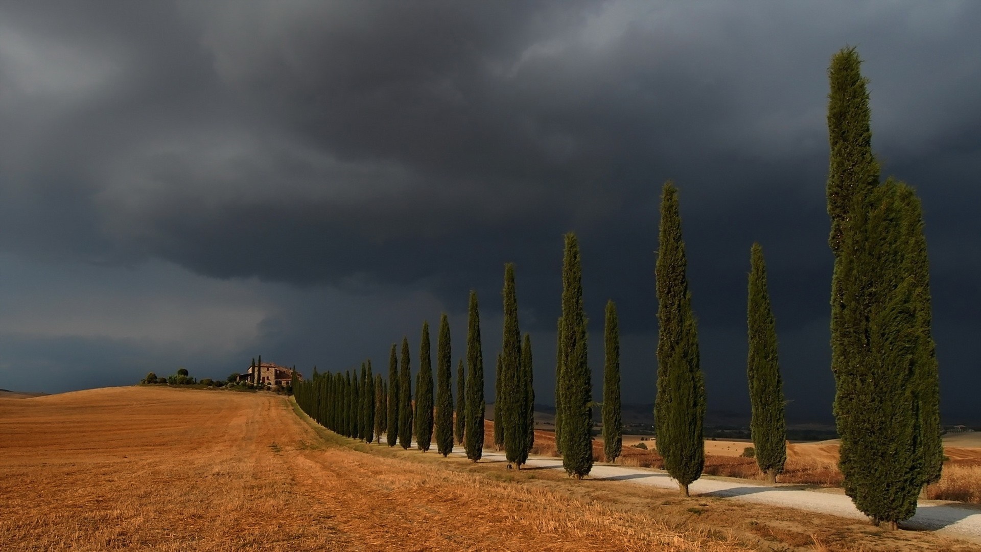Tuscan landscape with cypress trees and stormy sky HD Wallpaper