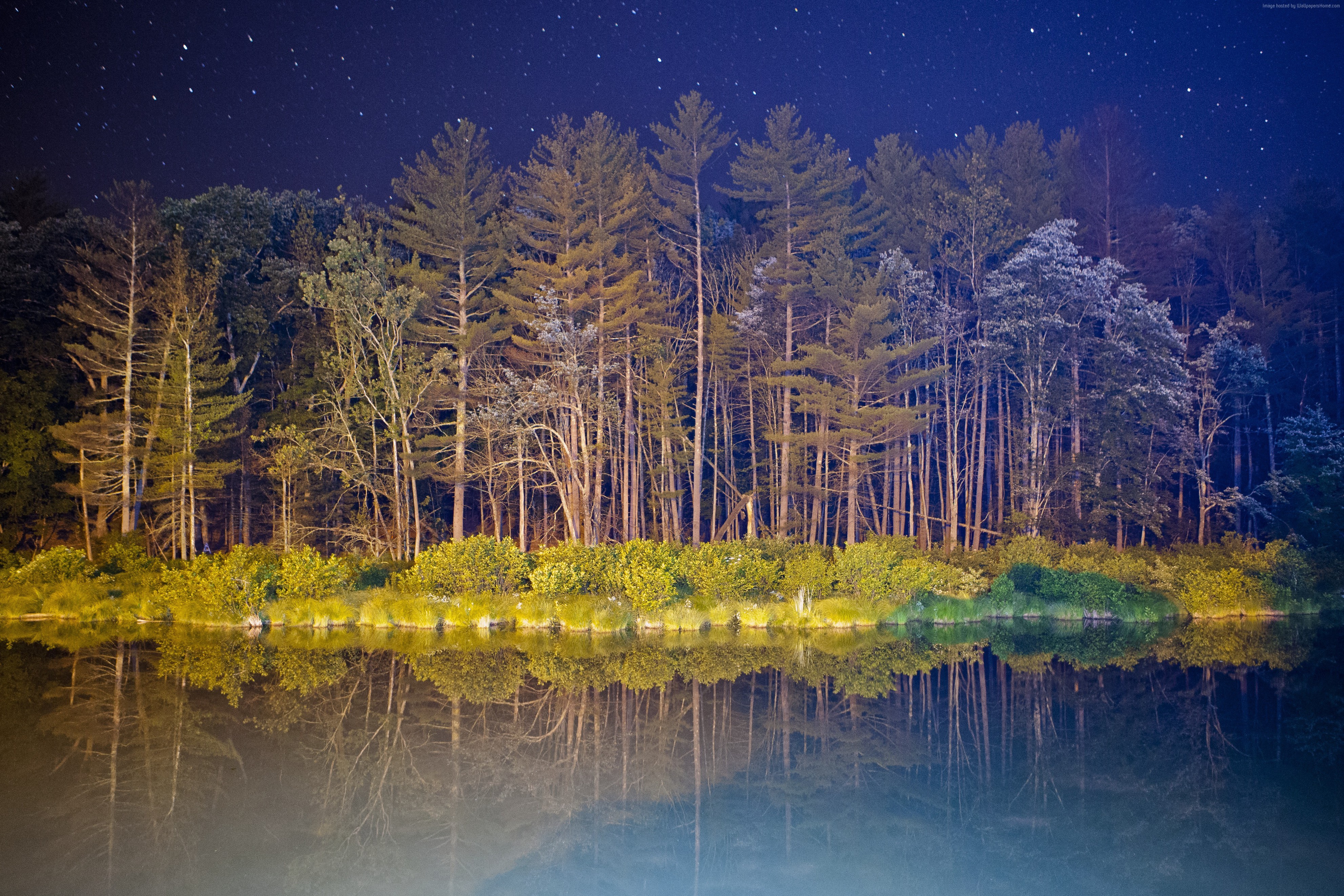Forest and pond at night with stars HD Wallpaper