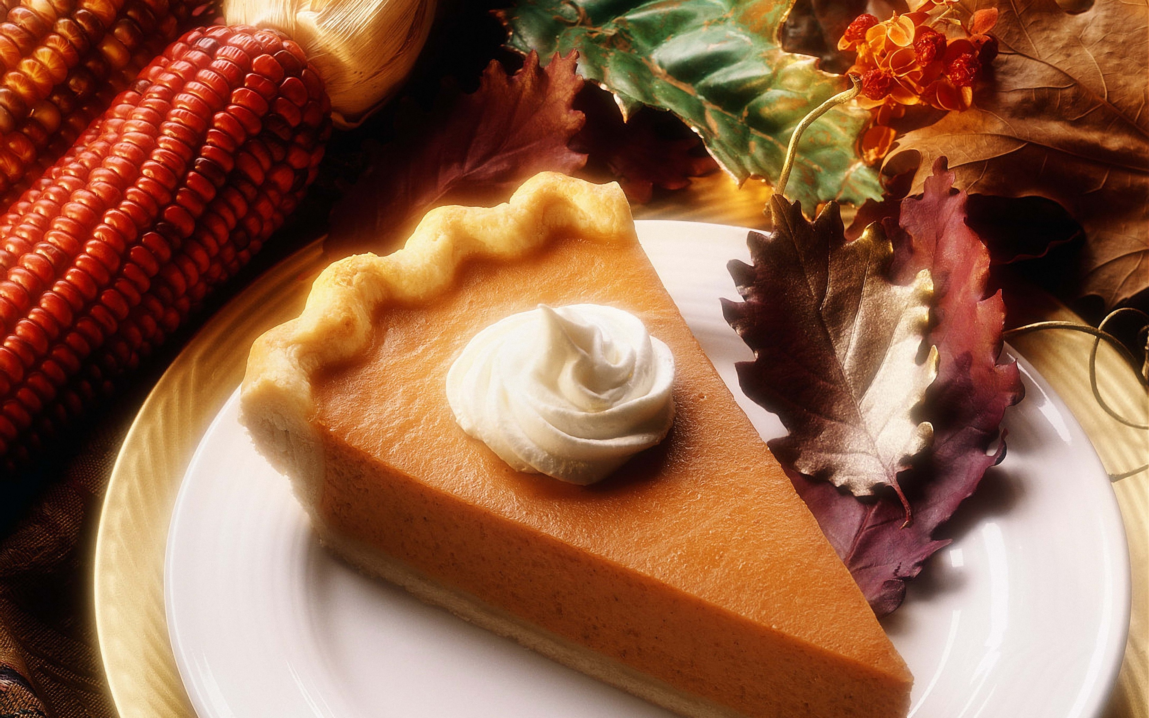 Slice of pumpkin pie with whipped cream and autumn decorations HD Wallpaper