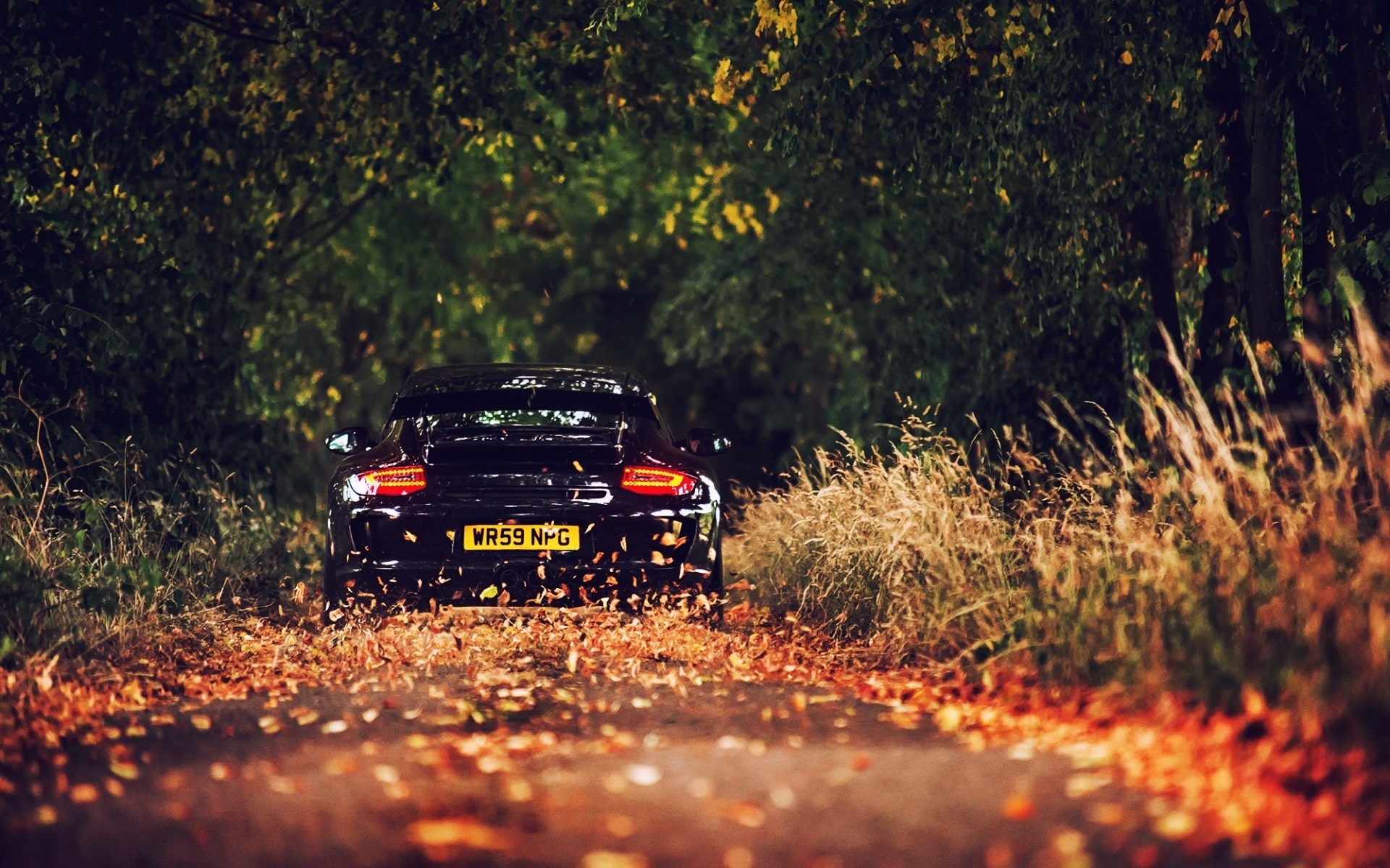 Black Porsche 911 on a leaf-covered road in autumn HD Wallpaper