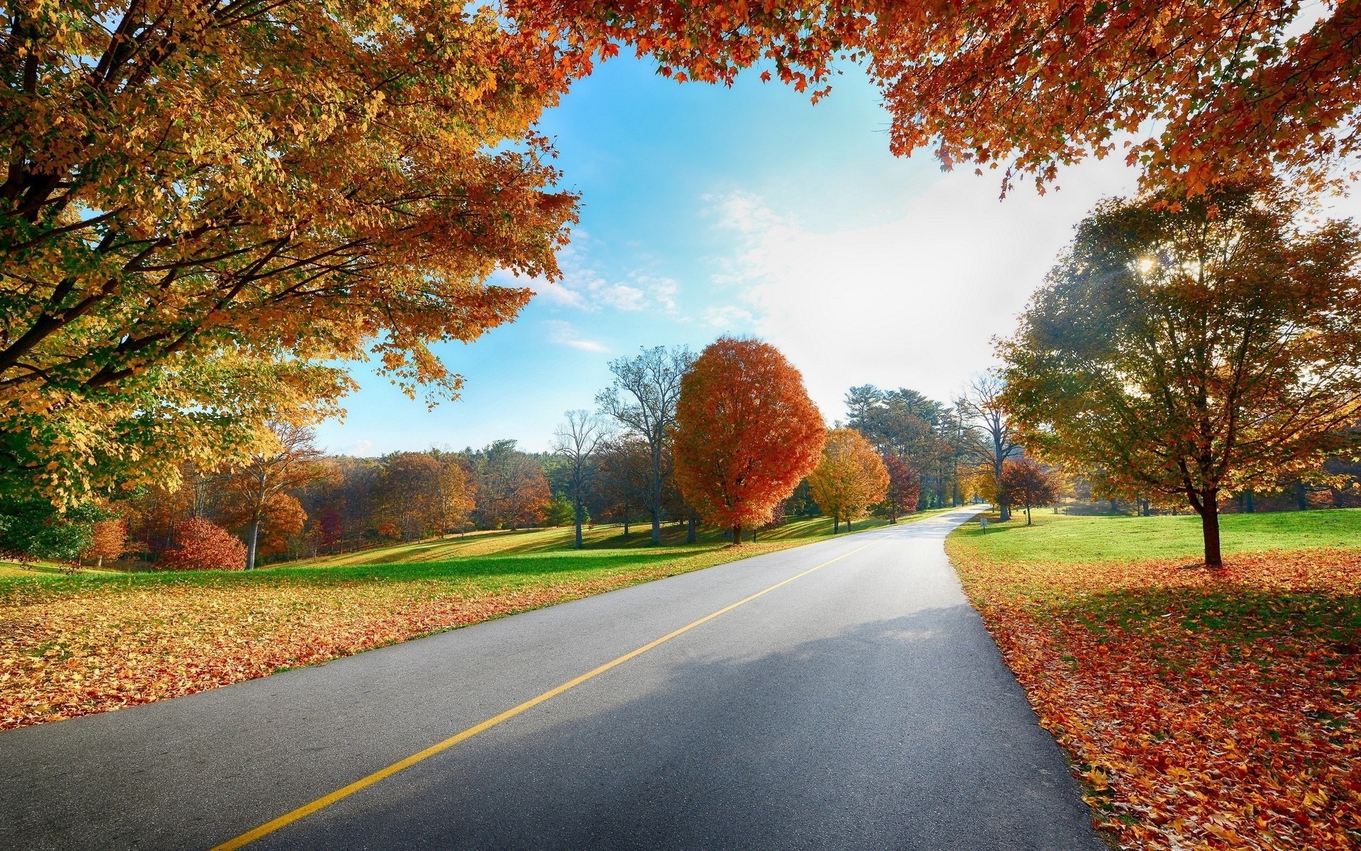 Autumn road with colorful trees and fallen leaves HD Wallpaper