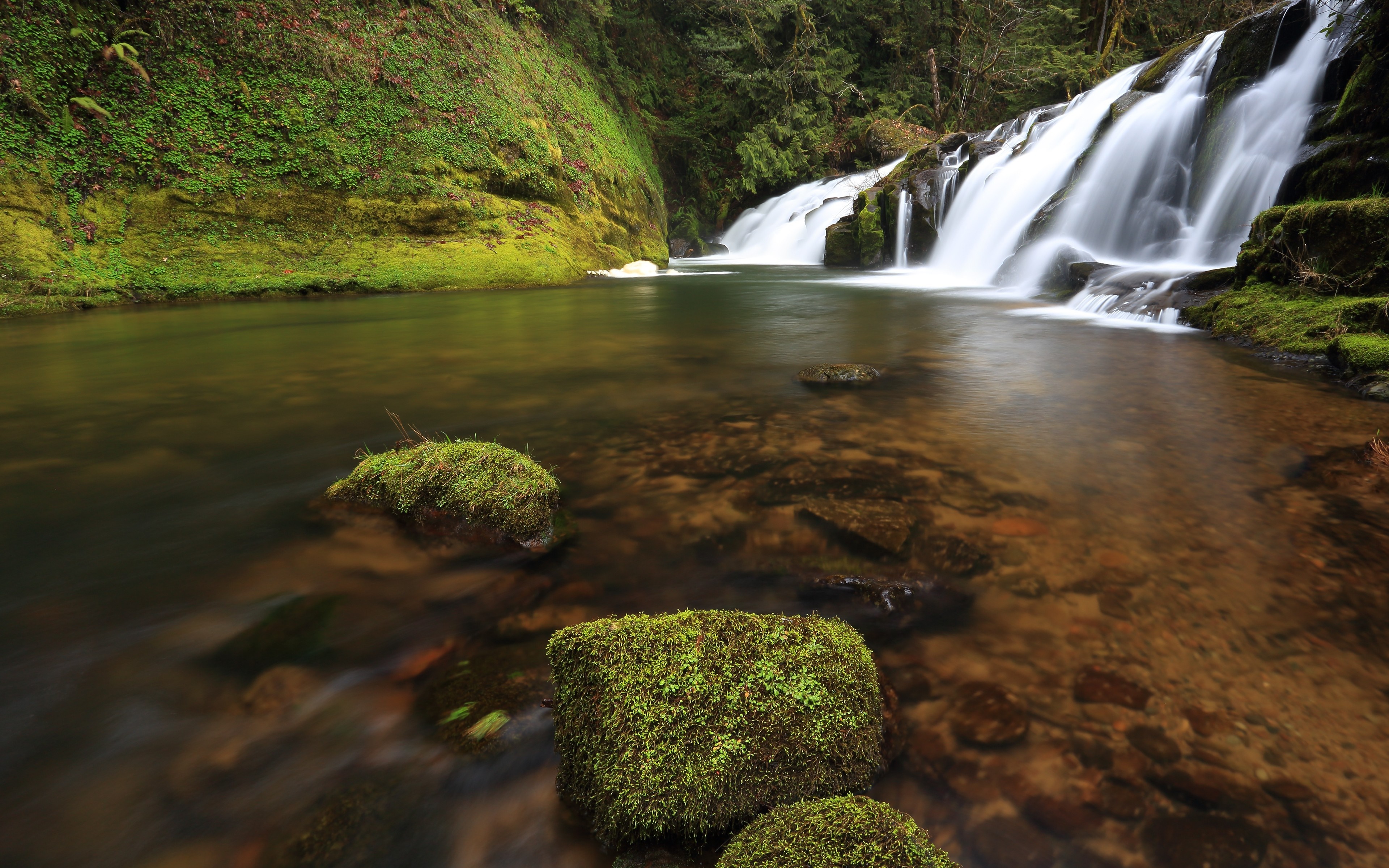 Mossy rocks in a river with a waterfall in the background HD Wallpaper